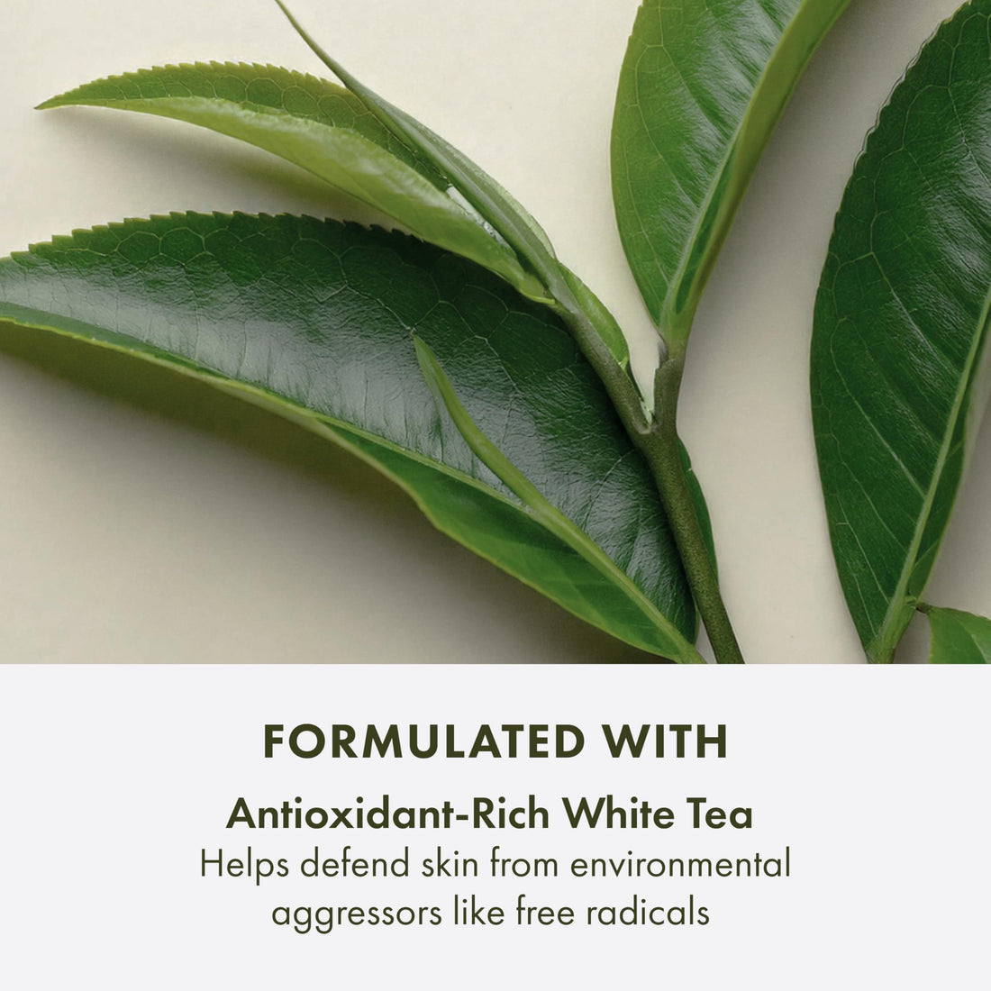 Origins A Perfect World Age-Defense Moisturizer with SPF 40 | Hydrates & Helps Delay Visible Signs of Aging | With Antioxidants, 1.7 Fl Oz