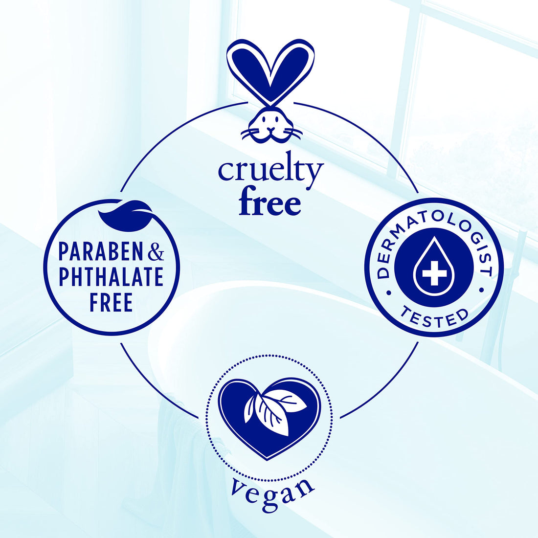 Dr Teal's Body Wash With Pure Epsom Salt, Detoxify & Energize With Ginger & Clay, 24 fl oz (Pack of 4)