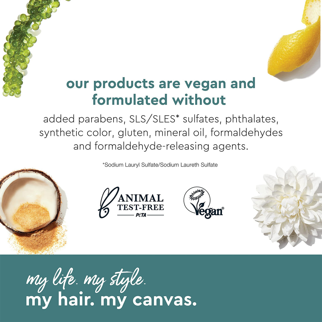 Alterna My Hair My Canvas More to Love Bodifying Vegan Shampoo, 8.5 Fl Oz | Botanical Caviar, Bring Fullness & Movement to Hair | Sulfate Free