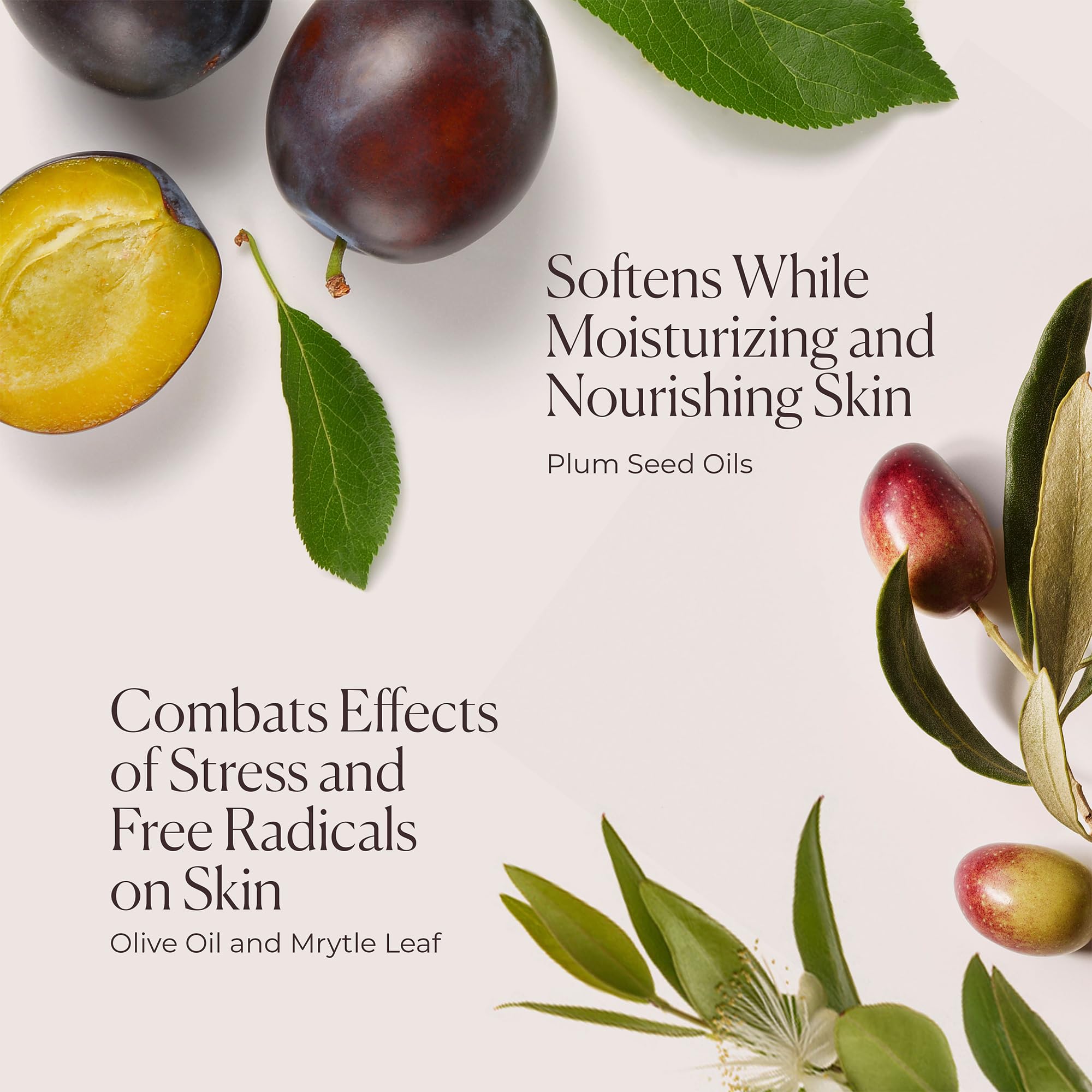 Laura Mercier Hydrating Body Wash, Foaming Daily Body Cleanser, Up to 10HR Hydration, Softens and Smooths Skin, Non-Drying Formula, Creamy Gel Texture, Ambre Vanille