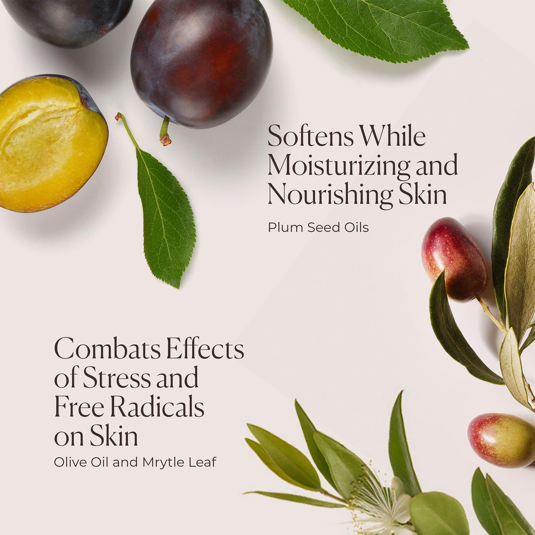 Laura Mercier Hydrating Body Wash, Foaming Daily Body Cleanser, Up to 10HR Hydration, Softens and Smooths Skin, Non-Drying Formula, Creamy Gel Texture, Ambre Vanille