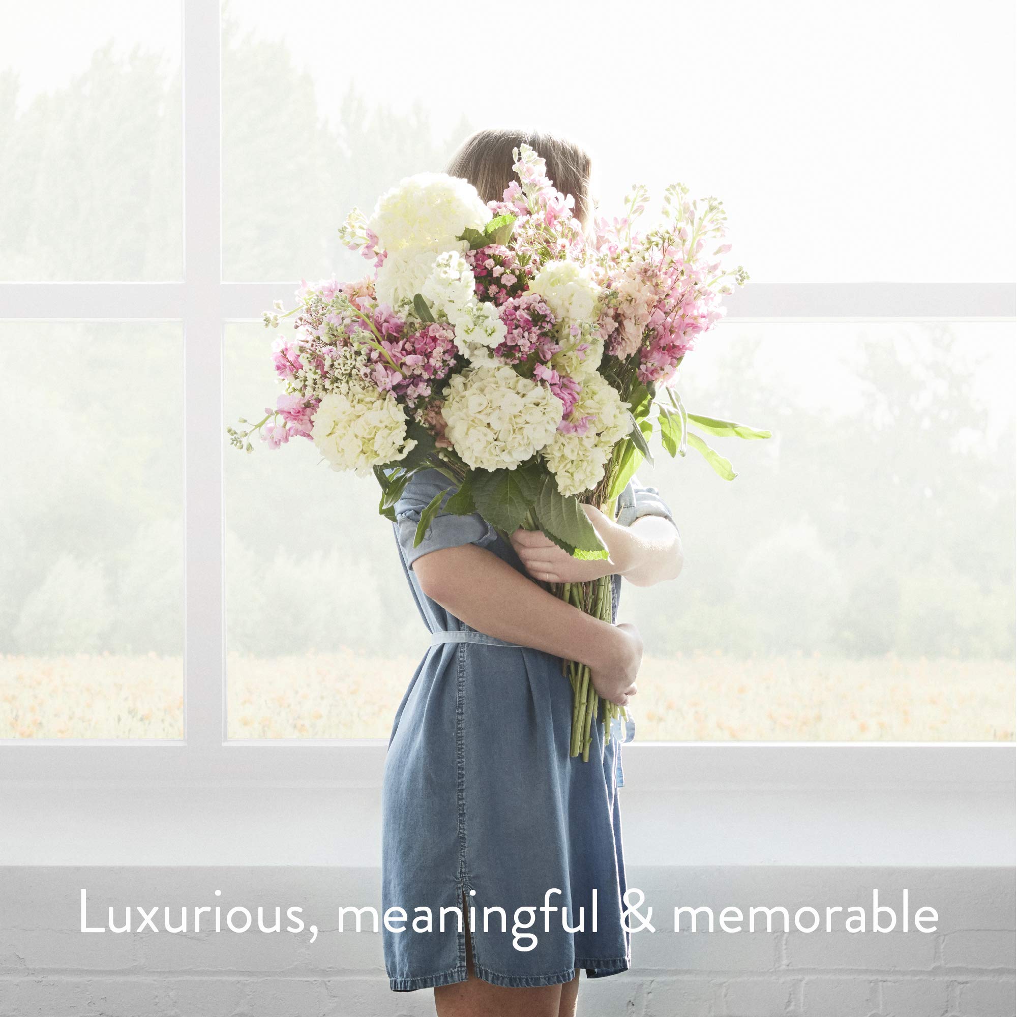 Thymes Hand Lotion, Olive Leaf, 8.25 ounce Pump Bottle