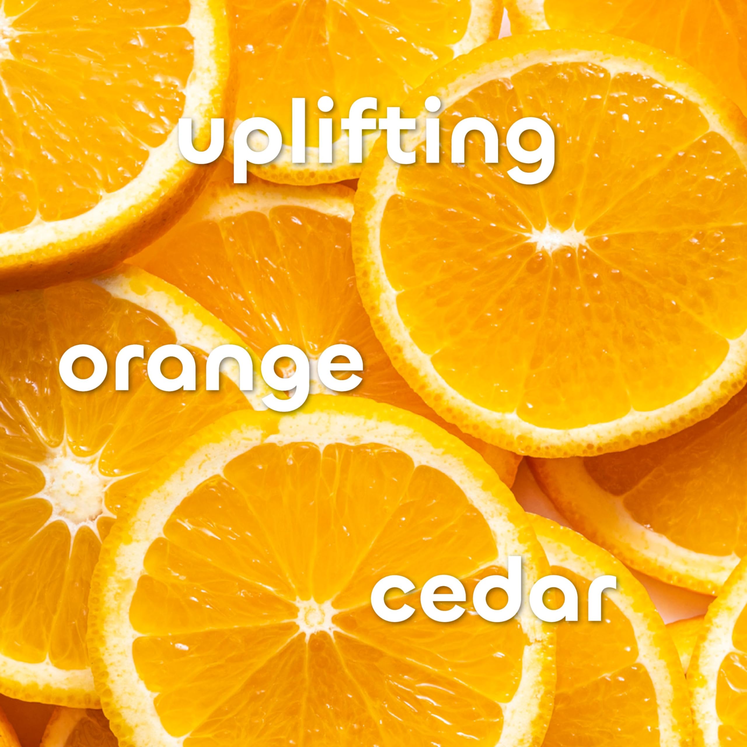 Seaweed Bath Co Detox Purifying Bodywash, Refreshing 12 Oz