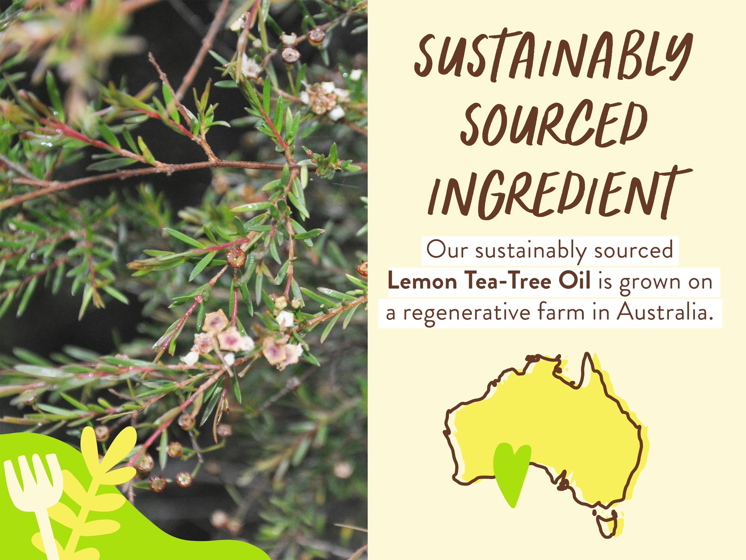 Babo Botanicals Purifying Lemon Tea Tree & Grapefruit Shampoo – For Flat, Oily Prone Hair – Add body & shine - Passion Fruit Ferment for scalp - Water-Resistant Carton w. 80% Less Plastic – Vegan