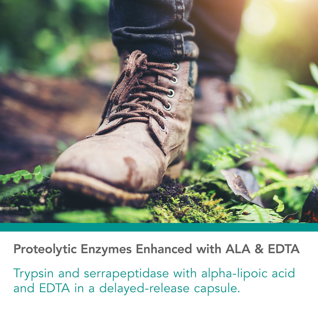 Nutricology Biofilm Neutralizer - Biofilm Defense, EDTA Supplement, Proteolytic Enzymes, Serrapeptase, Vegetarian Capsules - 60 Count