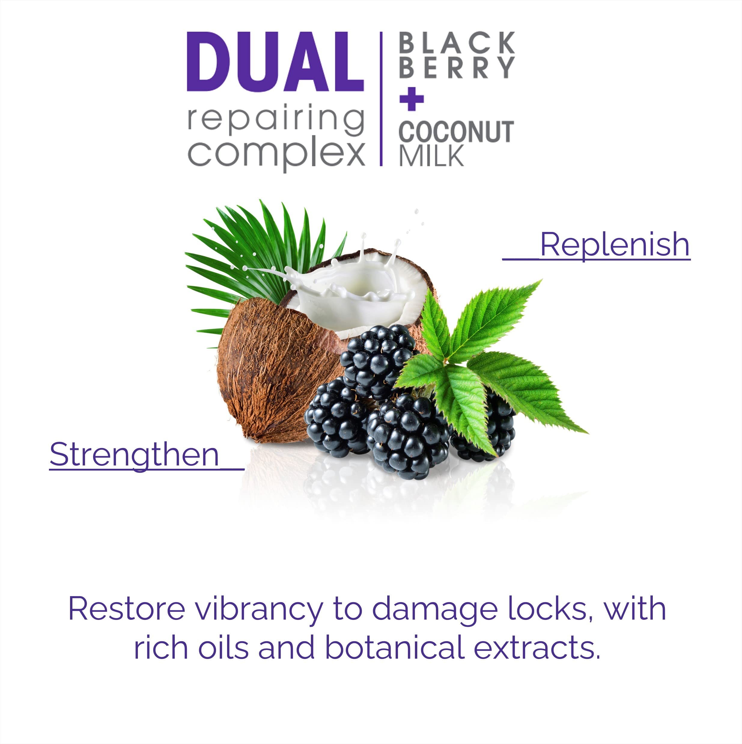 2Chic Blackberry & Coconut Milk Repair Shampoo, 8.5 Oz by Giovanni Cosmetics