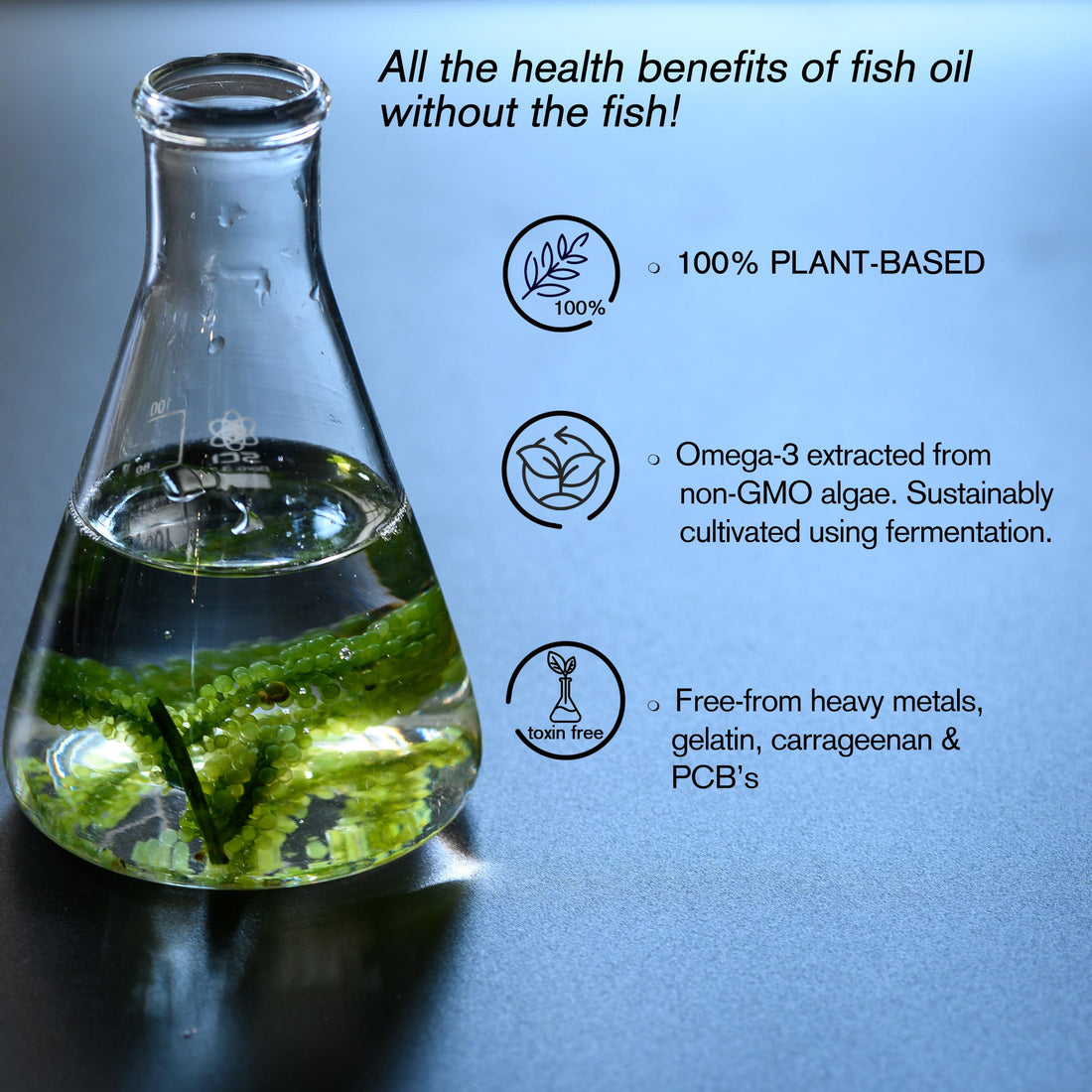 DHA Supplements (30) | Double Concentrate Omega 3 DHA 500mg PER Capsule - 1 a Day| Brain & Eye Health | Vegan DHA - Omega 3 Algae Oil |DHA 1000mg x 2 Capsules | Sustainable DHA Capsules