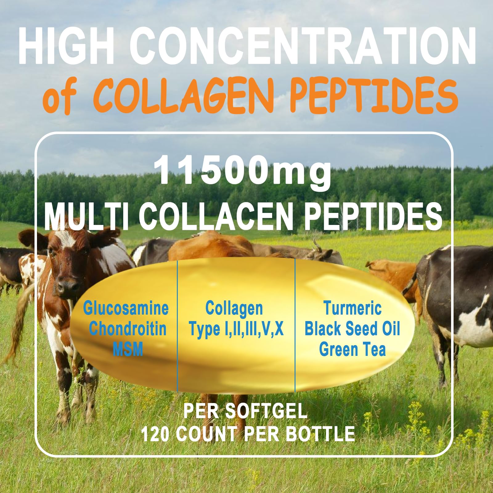 Collagen Peptides Softgels, Multi Collagen Peptides w/ Glucosamine Chondroitin MSM Biotin, Hydrolyzed Collagen Peptides Complex for Women Supports Skin Hair Nail Joints Bones Gut Health, Non-GMO