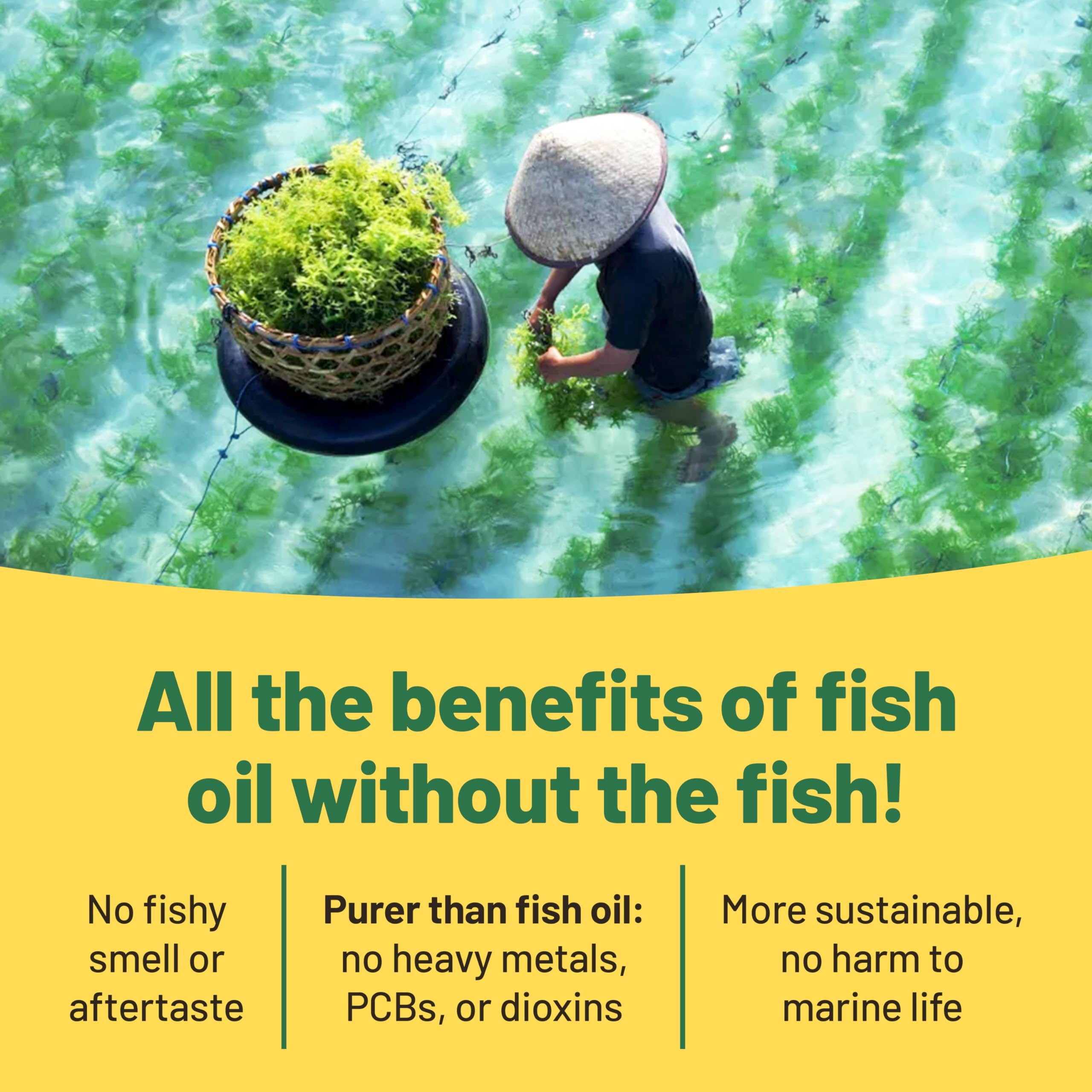 Vegan Vitality Vegan Omega 3 Supplement - 60 Plant Based Algae Oil Soft Gels Essential Fatty Acids with Vegan DHA for Joint, Heart & Immune Support Without EPA