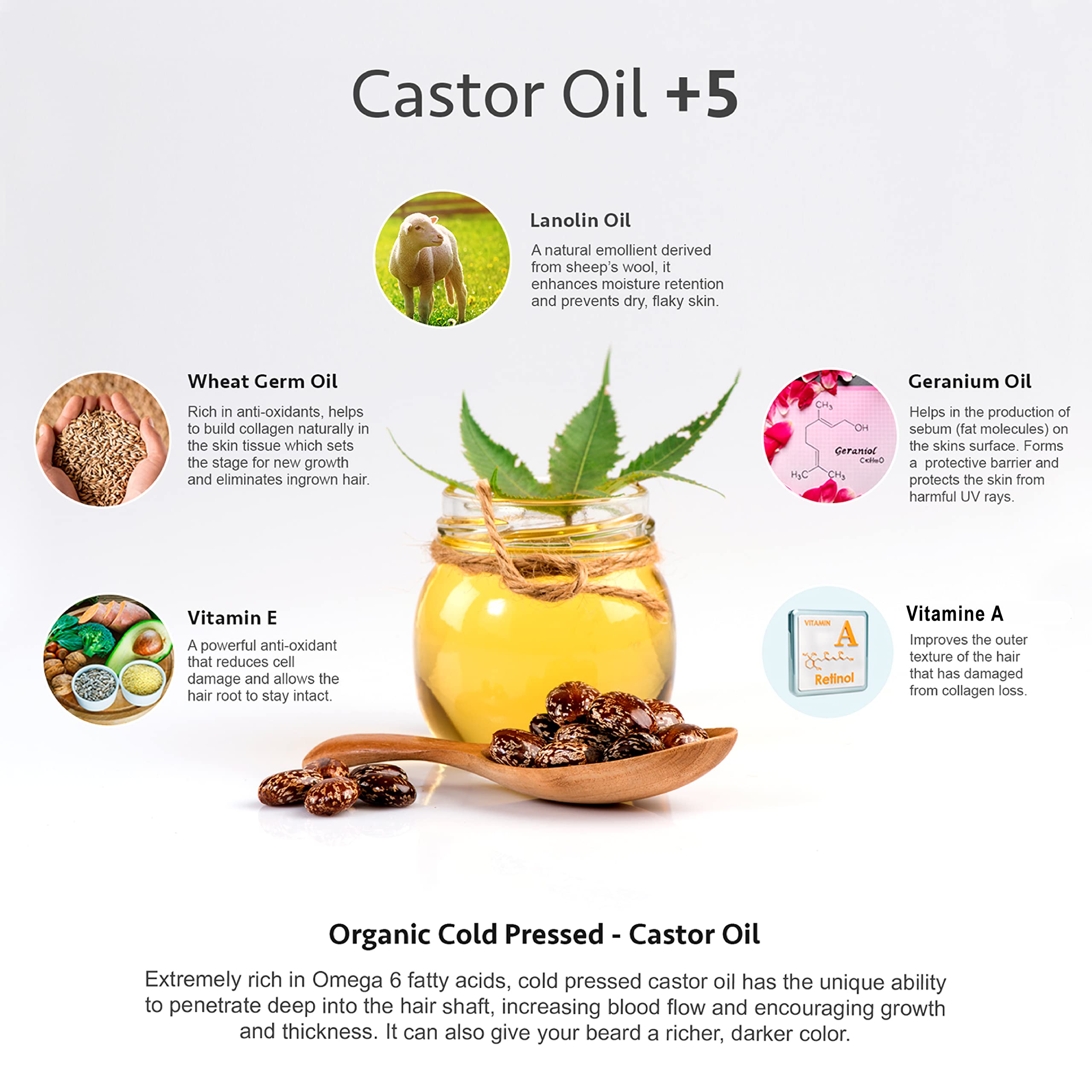 Godefroy Thick Beard and Mustache Growth Serum, 0.51 Fluid Ounce