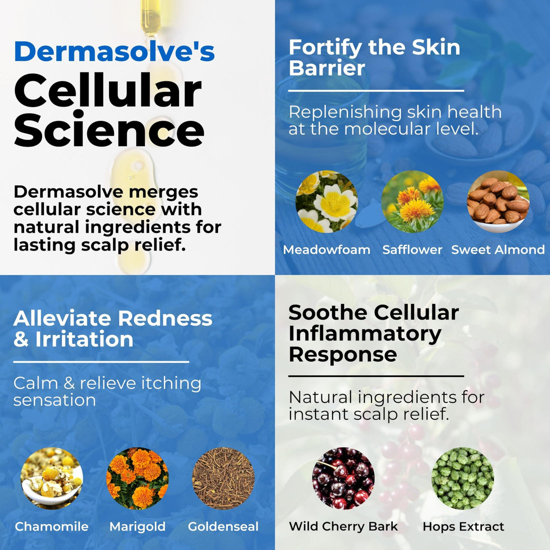 Dermasolve Psoriasis & Dandruff Scalp Oil, Dermatologist Approved for Flaky Scalp Relief