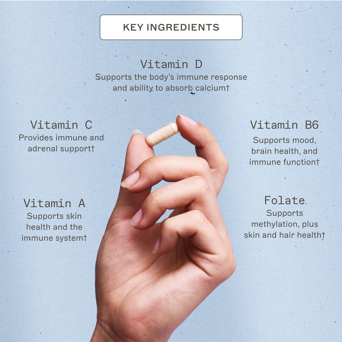 Amy Myers MD Multivitamin for Women and Men, Immune and Thyroid Support, Stress Relief - Activated B Vitamins, Zinc, Selenium, Iodine - Rich in Nutrients and Minerals, Increase Energy Levels 180 Caps