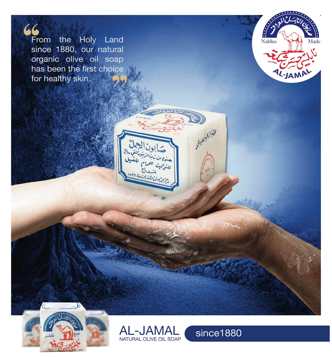 Olive Oil Nablus Soap Bar Al Jamal From The Holy Land 4.6 oz (4 Bars)