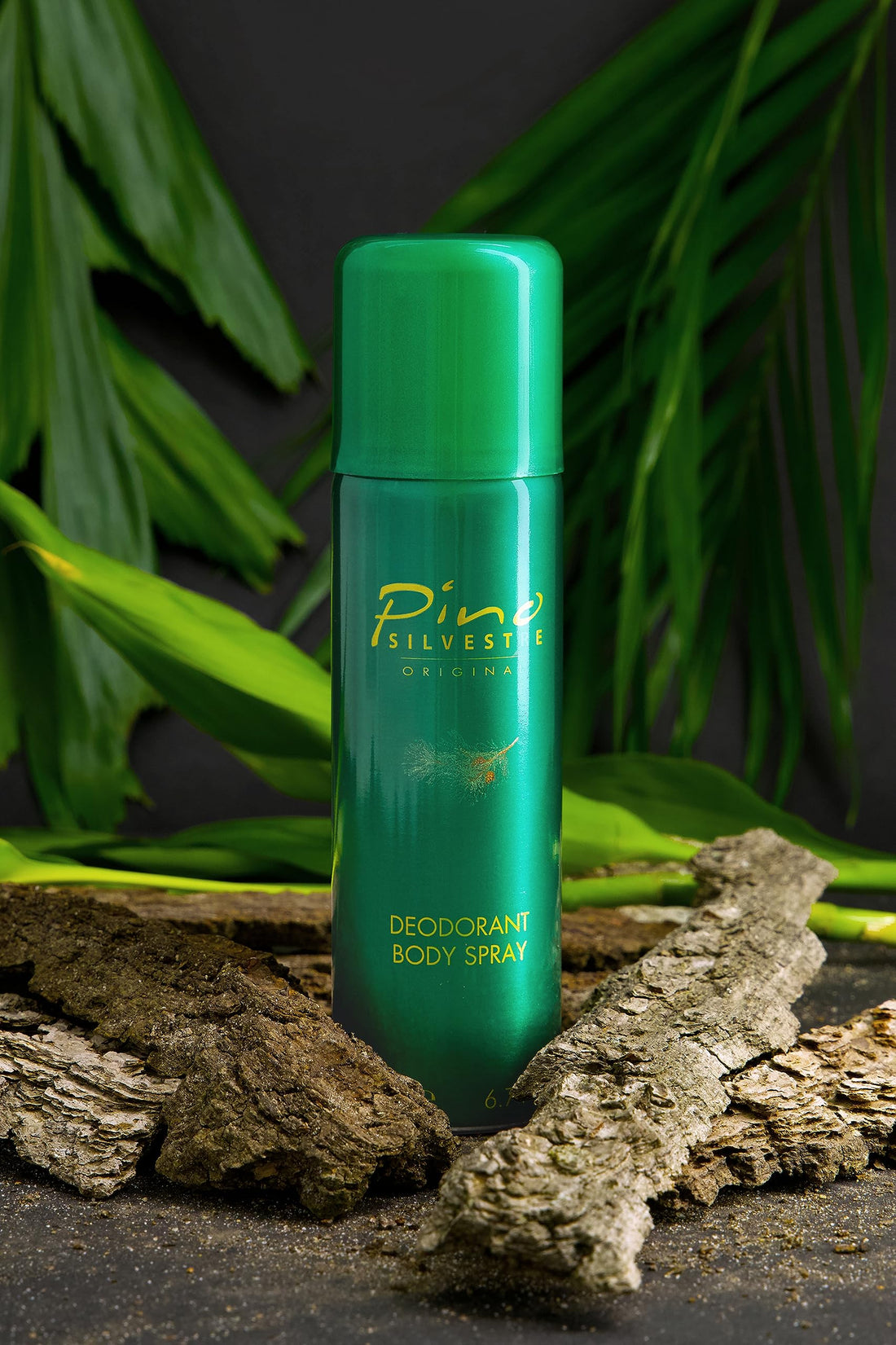 Pino Silvestre By Pino Silvestre