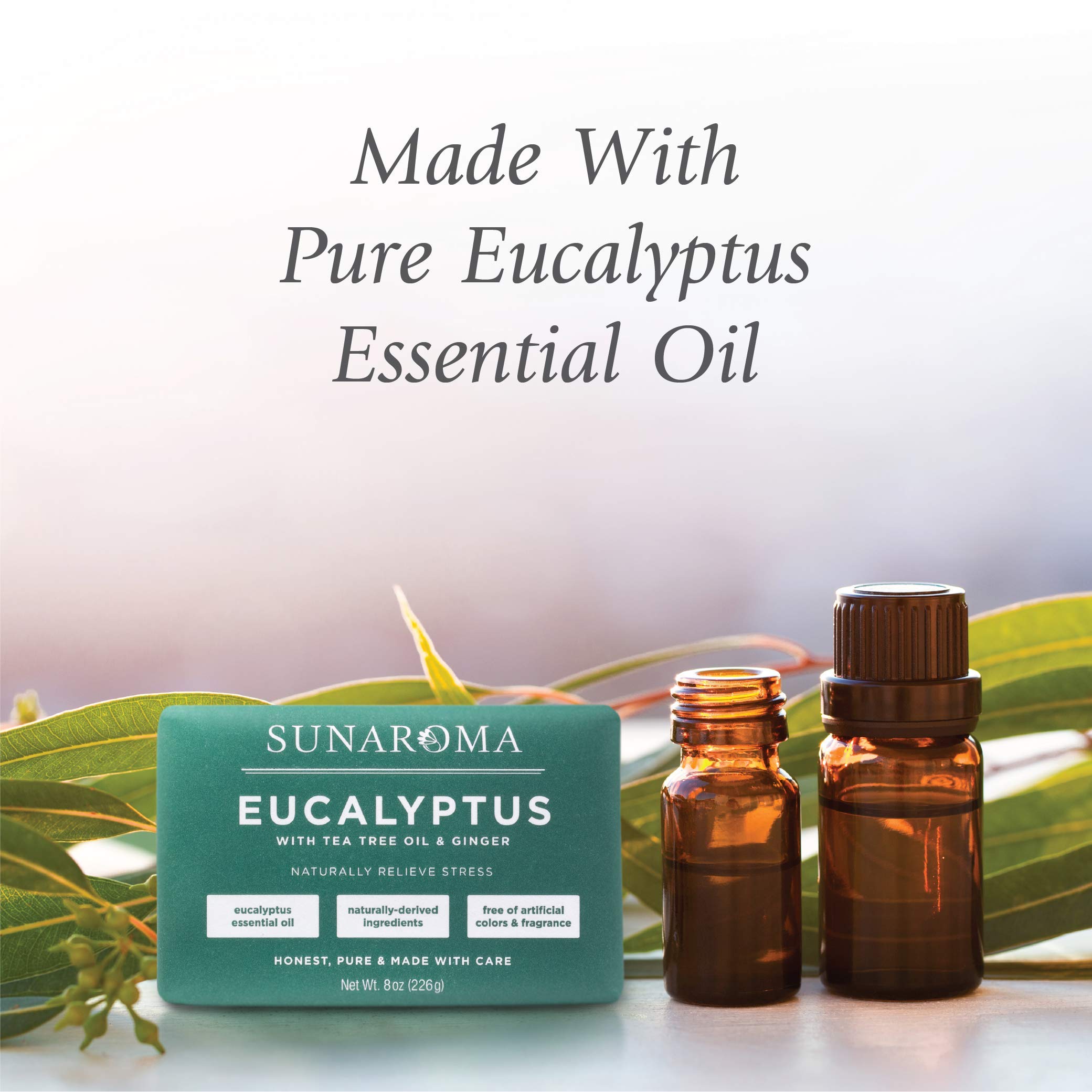 Sunaroma Eucalyptus with Tea Tree Oil & Ginger Soap (Pack of 1)