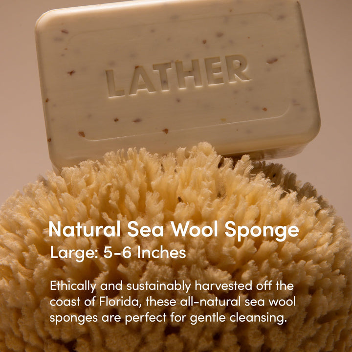 LATHER - Natural Sea Wool Sponge, 5-6 - Organic Exfoliating Body Scrubber - Soft, Gentle Cleansing - Hypoallergenic - All Skin Types - Florida Natural Loofah Sponge - Cruelty Free - Beauty & Skincare