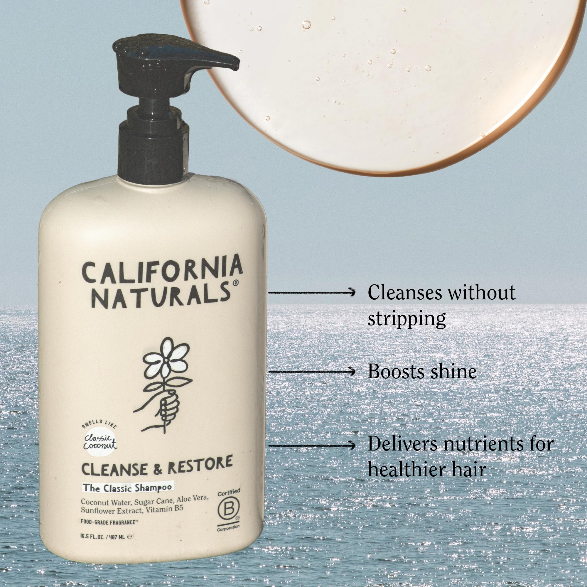 California Naturals Shampoo, Scalp and Hair Care for Women and Men, Coconut Cleansing Complex, Natural, Vegan, Cruelty, Silicone, Paraben, and Sulfate Free Shampoo, All Hair Types, 16.5 fl oz