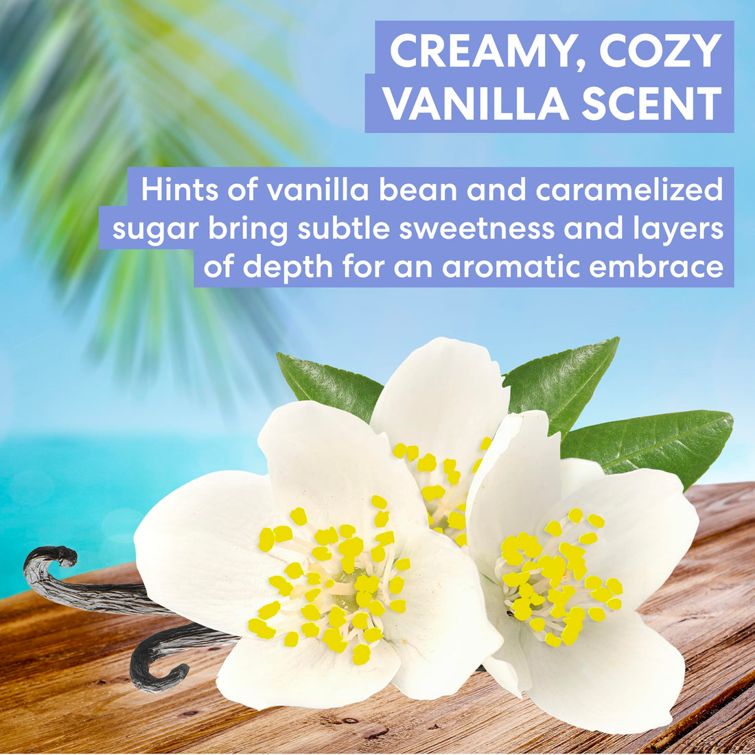 Palmer's Cocoa Butter Formula Tahitian Vanilla Body Lotion, 8.5 Oz, Daily Moisturizing Lotion for Dry Skin with Shea Butter & Vitamin E, Hydrates & Protects, Helps Provide 48-Hour Deep Moisture