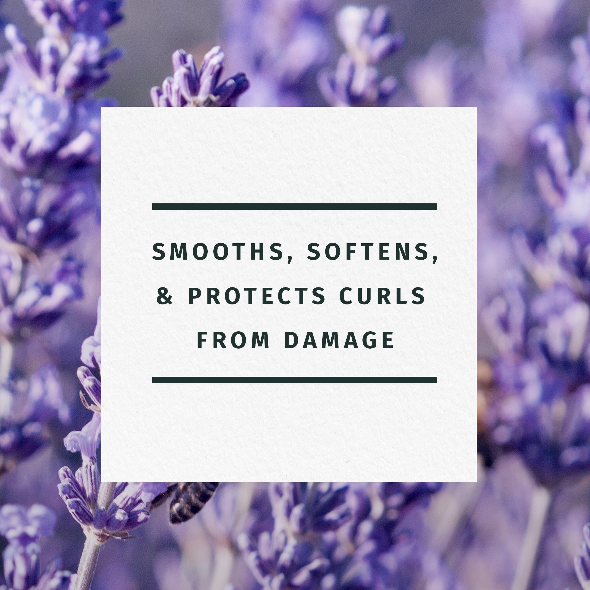 Jojoba Oil & Lavender Curls Conditioner