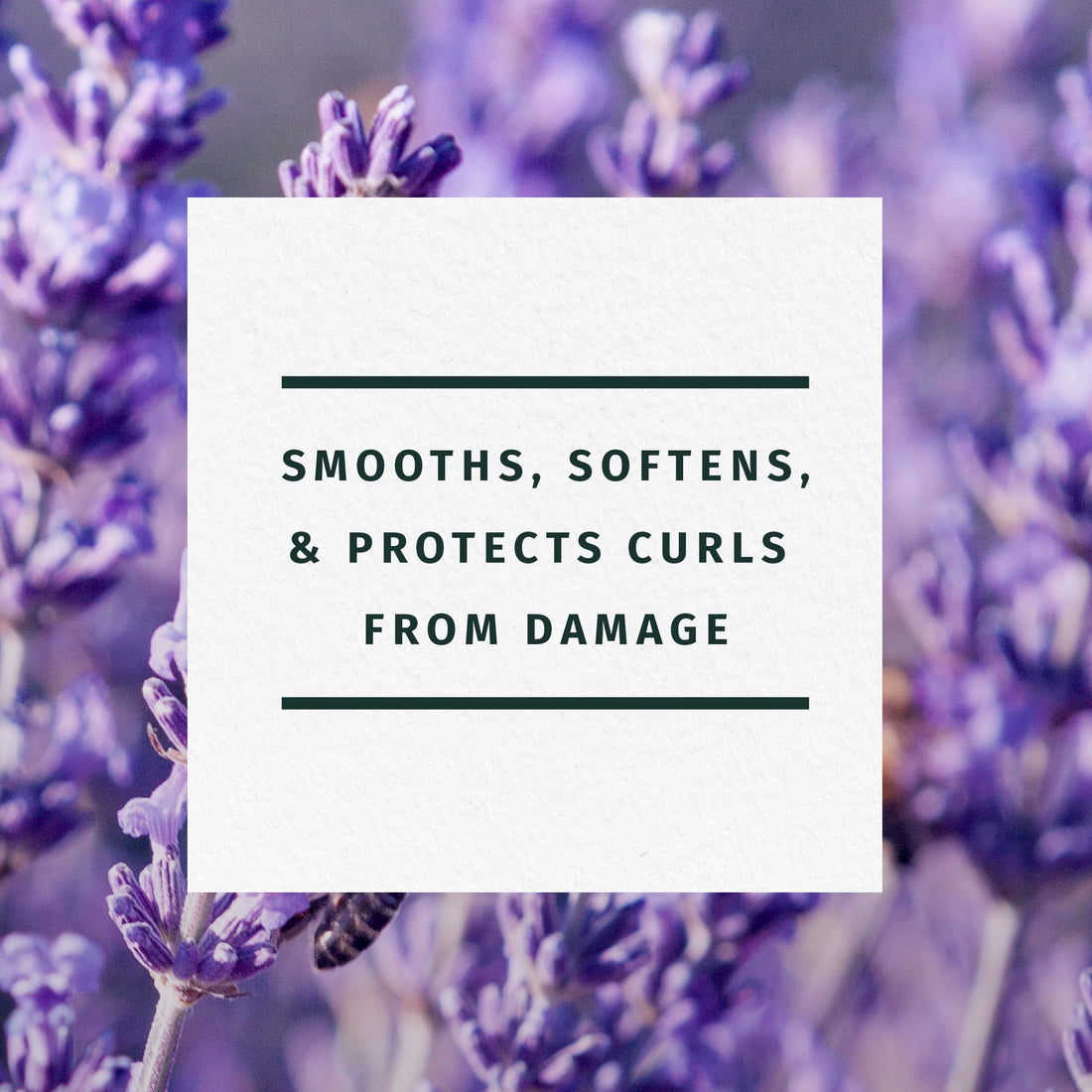 Jojoba Oil & Lavender Curls Conditioner