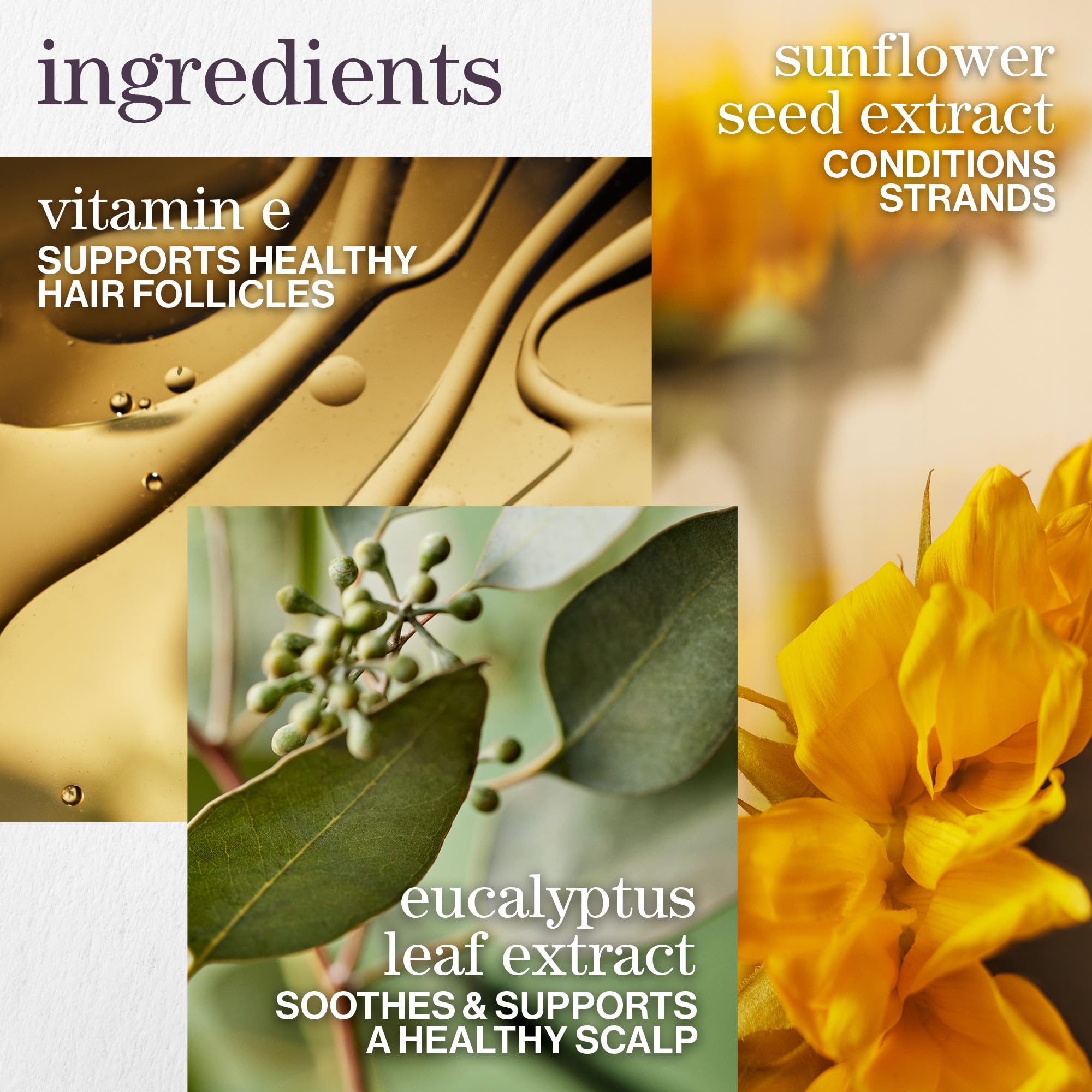 Pureology Pure Volume Shampoo | For Flat, Fine, Color Treated or Natural Hair | Adds Lightweight Volume and Body | Clarifies Buildup | Sulfate Free Shampoo | Vegan