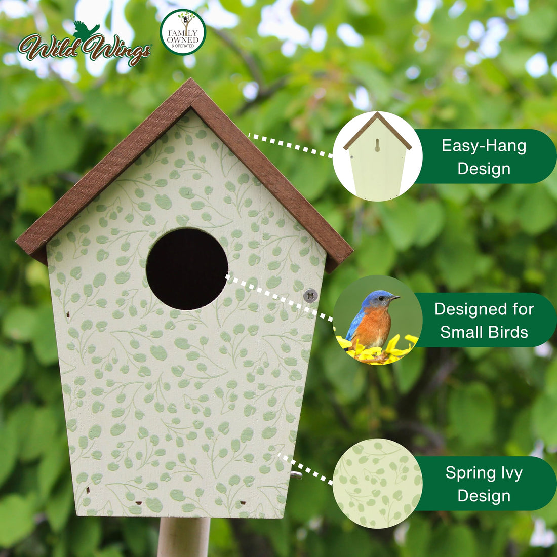 Wild Wings Decorative Bluebird House Spring Ivy, White