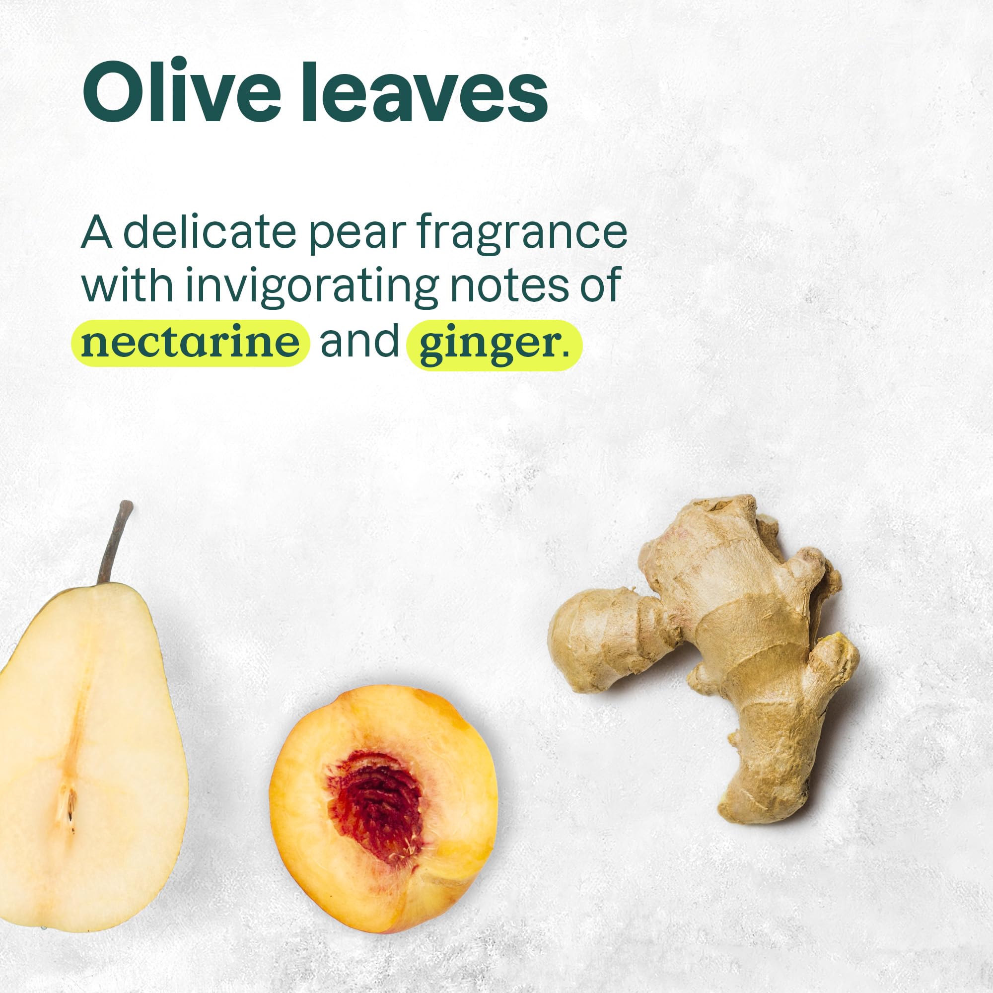 Natural Hand Soap by ATTITUDE: EWG VERIFIED Hand Soap, Hypoallergenic, Dermatologist Tested & Vegan | Super leaves Hand Soap - Olive Leaves (16 oz)