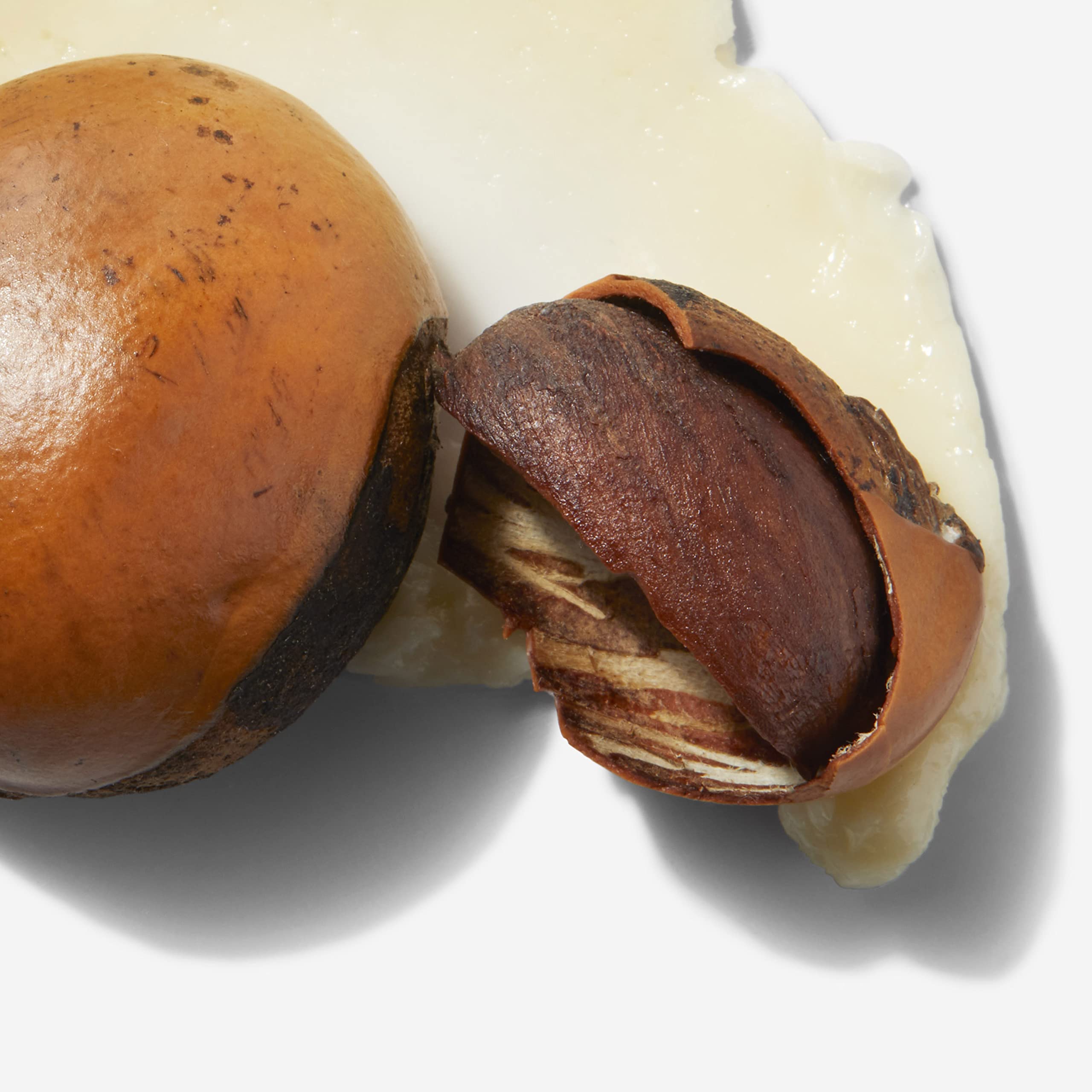 Olay Regenerist Shea Butter + Peptide 24 NOURISHING FACIAL CLEANSER