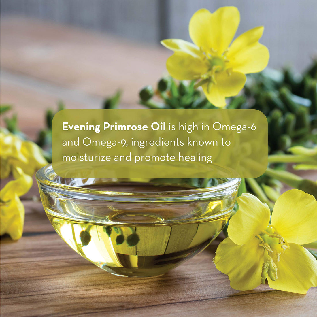 Pure Body Naturals Evening Primrose Oil - Liquid, not Capsules - for Face, Skin and Hair, 4 fl oz