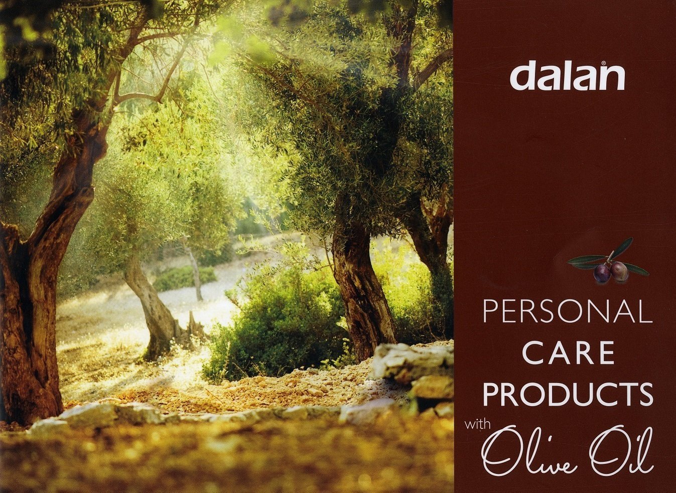 Dalan Dalan D'Olive Travel Kit