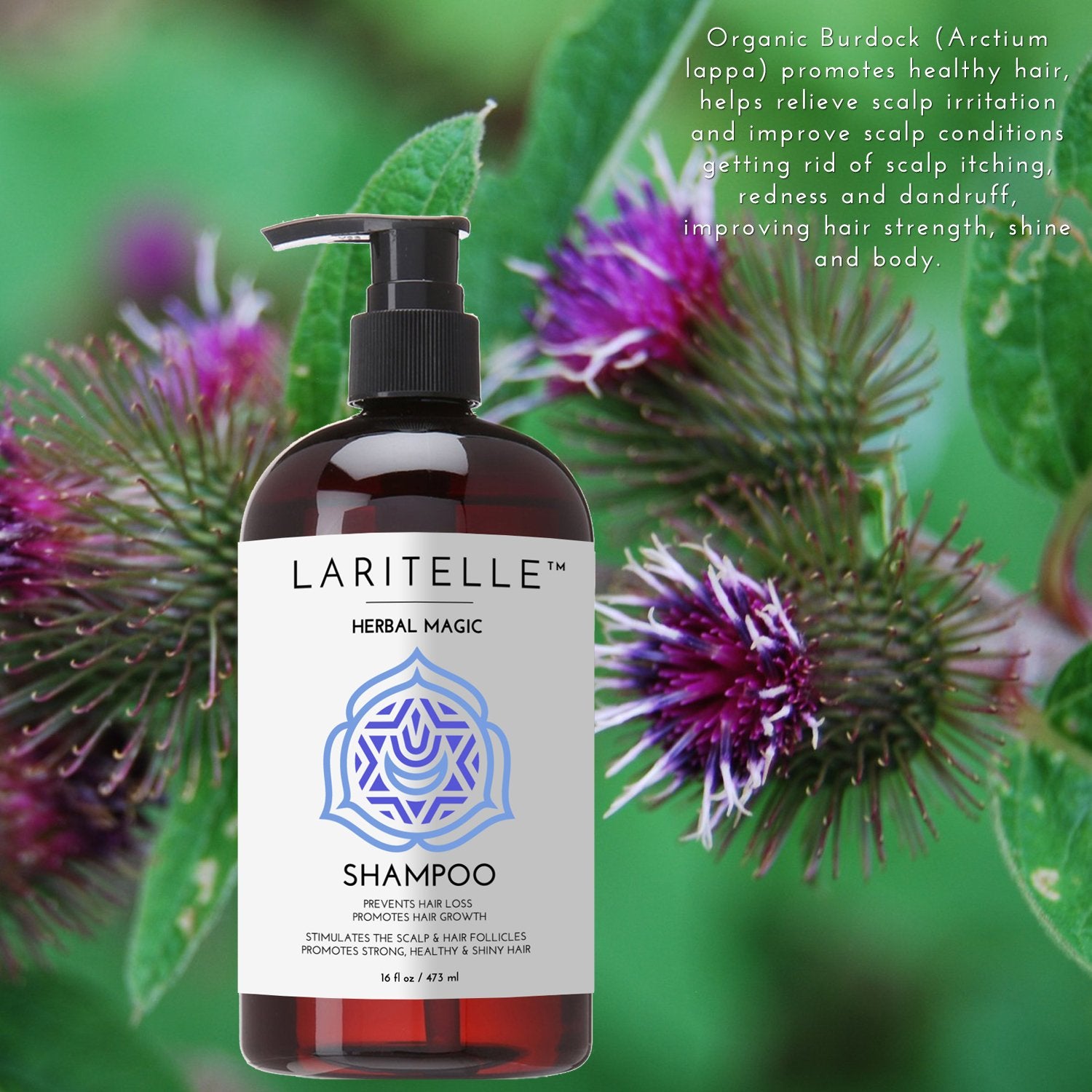 Laritelle Organic Unscented Hypoallergenic Shampoo 17.5 oz. Rosemary & Saw Palmetto. NO SLS/GMO/Parabens. GF