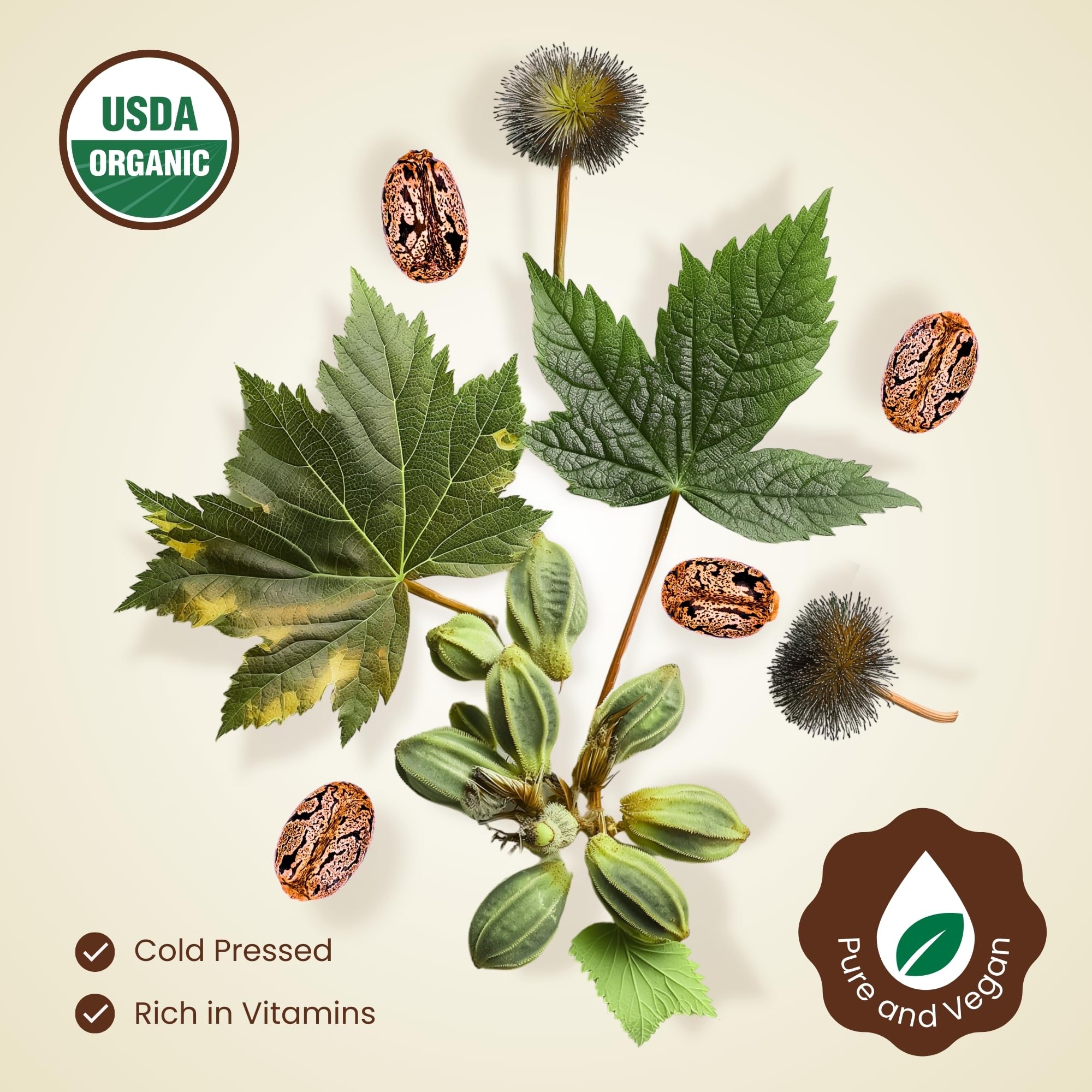 Organic Castor Oil (4oz) - 100% Pure Natural Cold-Pressed Hexane-Free USDA Certified - Glass Bottle - Hair Growth Oil for Scalp Eyelashes Face Skin - Dry Skin Moisturizer Natural Hair Care