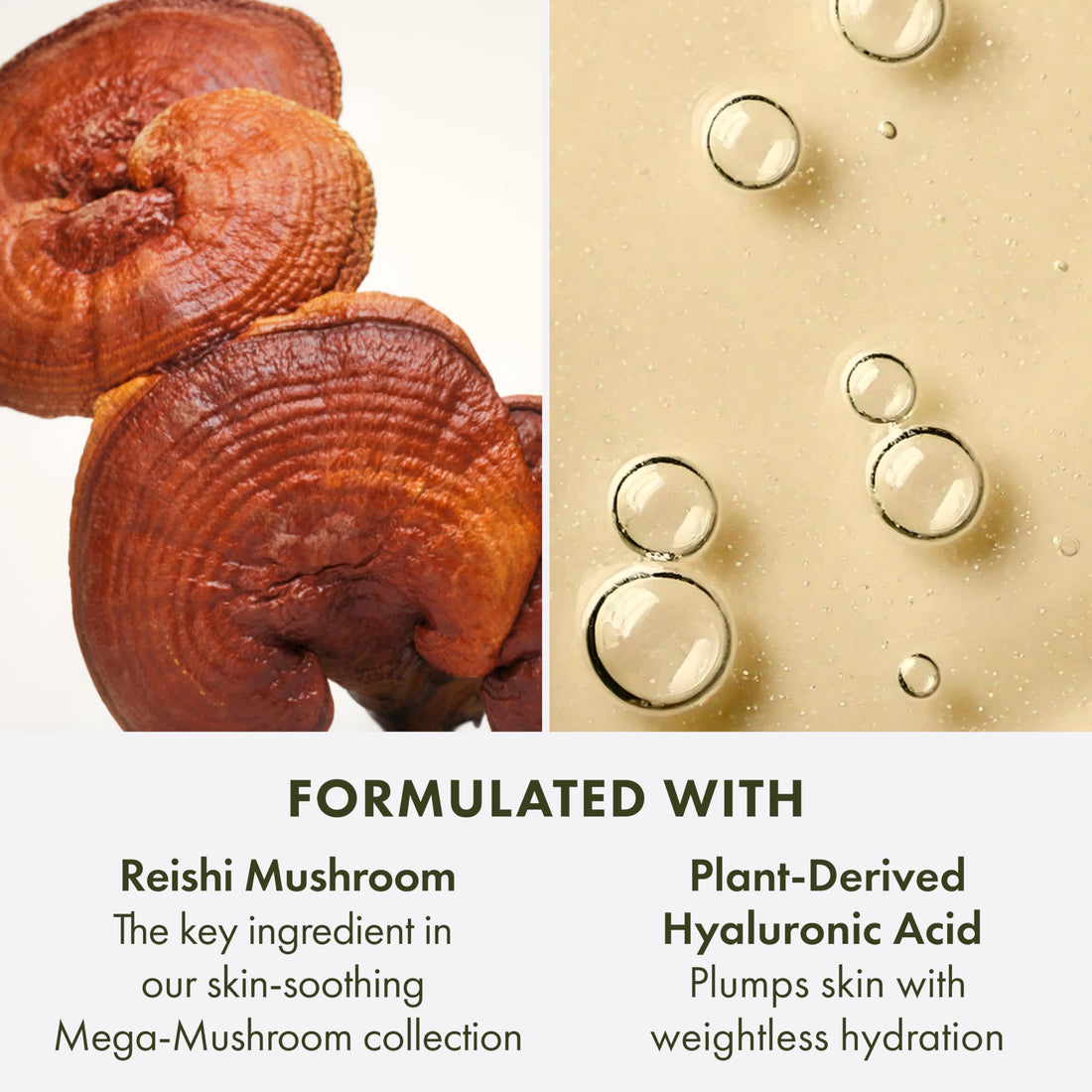 Origins Mega-Mushroom Soothing Face Mist | Plumps, Refreshes & Soothes | With Reishi & Snow Mushroom, 3.4 Fl Oz