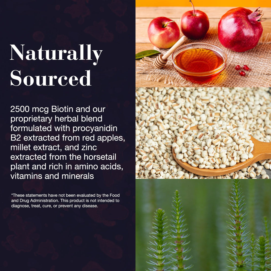 NEW NORDIC Hair Volume Gummies, 2500 mcg Biotin, Daily Hair Vitamins Supplement to Support Hair Skin & Nails, Vegan, 60 Count (Pack of 1)