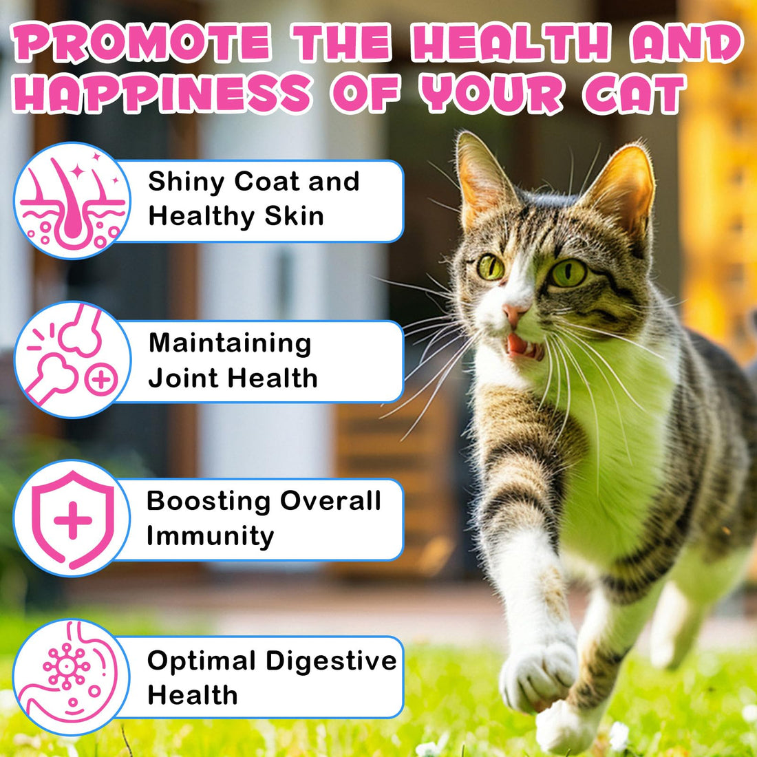 2Pack Liquid Collagen for Cats, Collagen for Cats 2 fl.oz, Skin and Coat Supplement for Cats, Itch Relief for Cats with Allergies, with Bovine Collagen, Biotin, MSM, Ginger, Collagen for Cats Drops