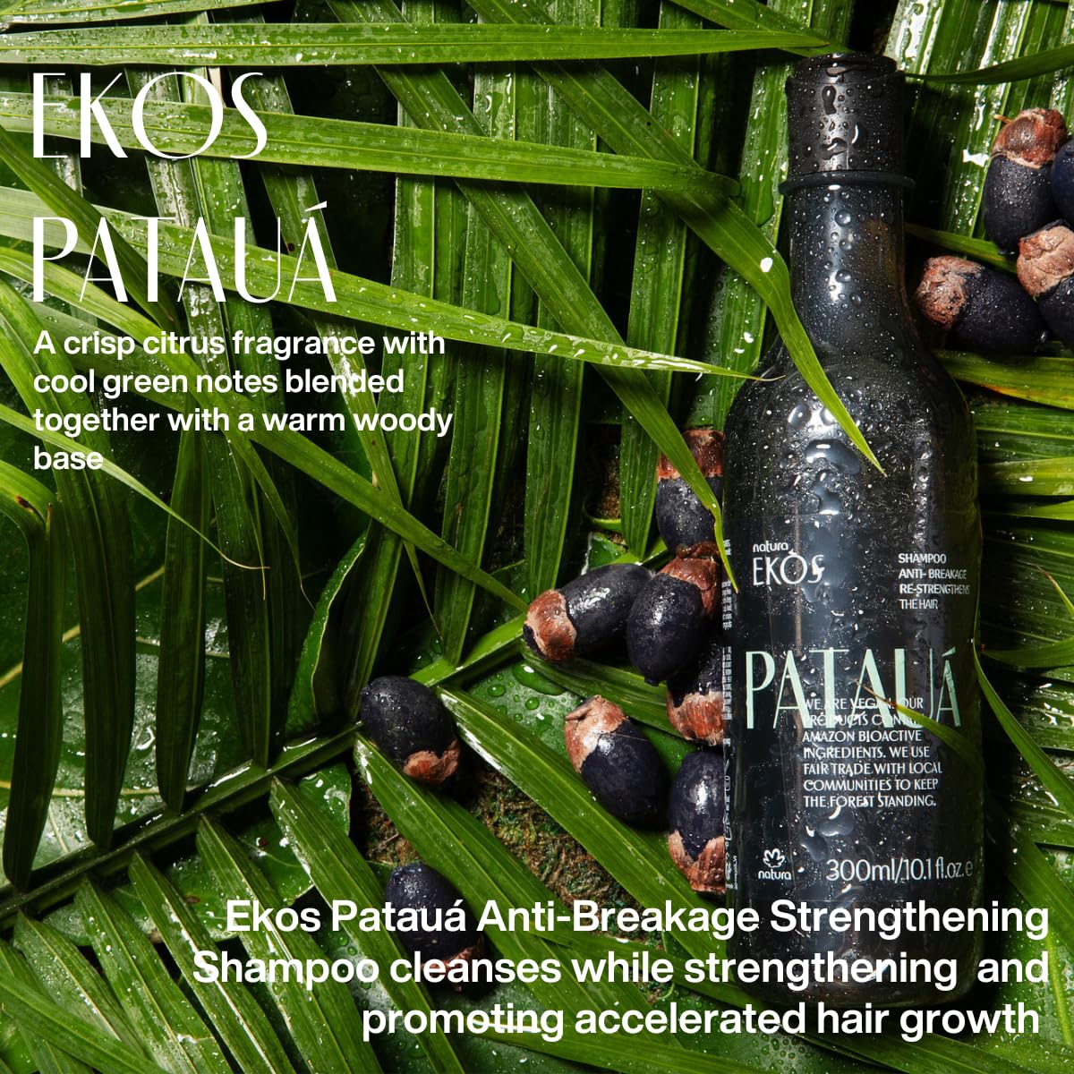 natura Ekos Patauá Hair Anti-Breakage Restrengthening Shampoo Refill - Prevent Hair Loss - Fortify Roots & Strands - Vegan Hair Care - Brazilian Beauty Secrets - Personal Care - 10.1 fl oz (300ml)