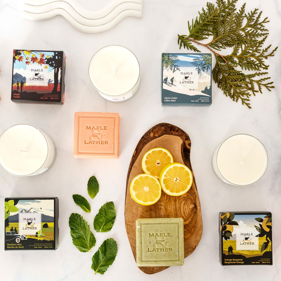 Maple & Lather Triple-Milled Bar Soap – Alpine Cedar Scent, Shea Butter & Sustainably Sourced Palm Oil, Long-Lasting French Soap, 209g/7.4oz, Made in Provence, France