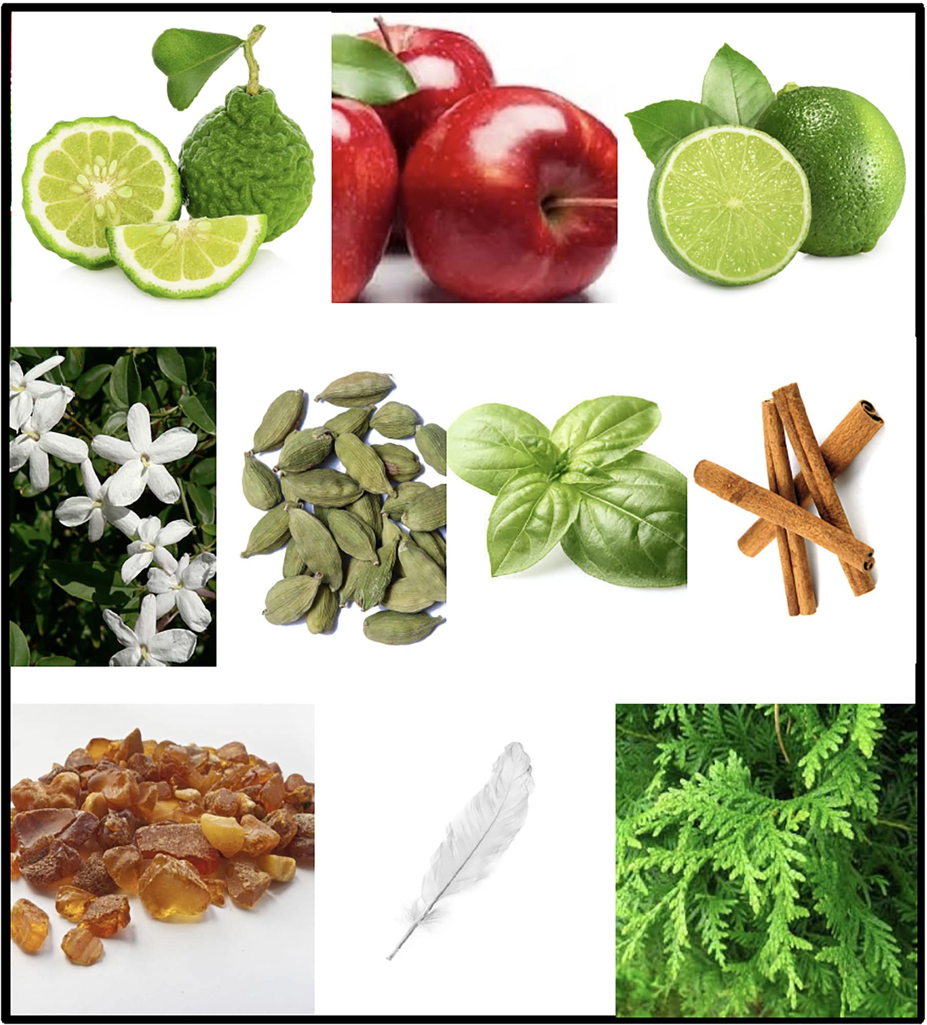 Fila Black Body Spray 250 Ml