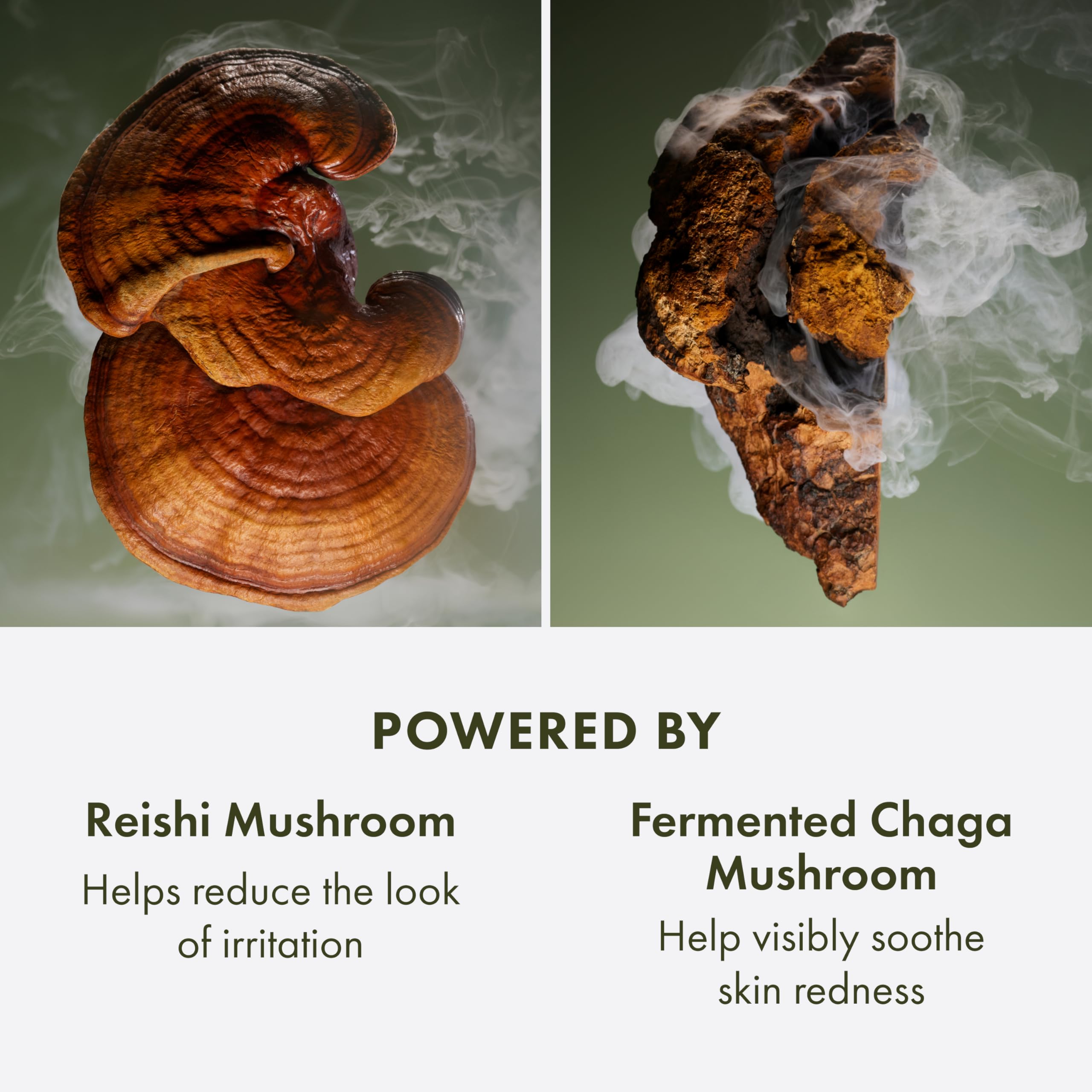 Origins Mega-Mushroom Overnight Recovery Skin Barrier Cream | For Deep Overnight Hydration & Reduced Visible Redness | With Reishi Mushroom, Fermented Chaga Mushroom & Evening Primrose, 1.7 Fl Oz