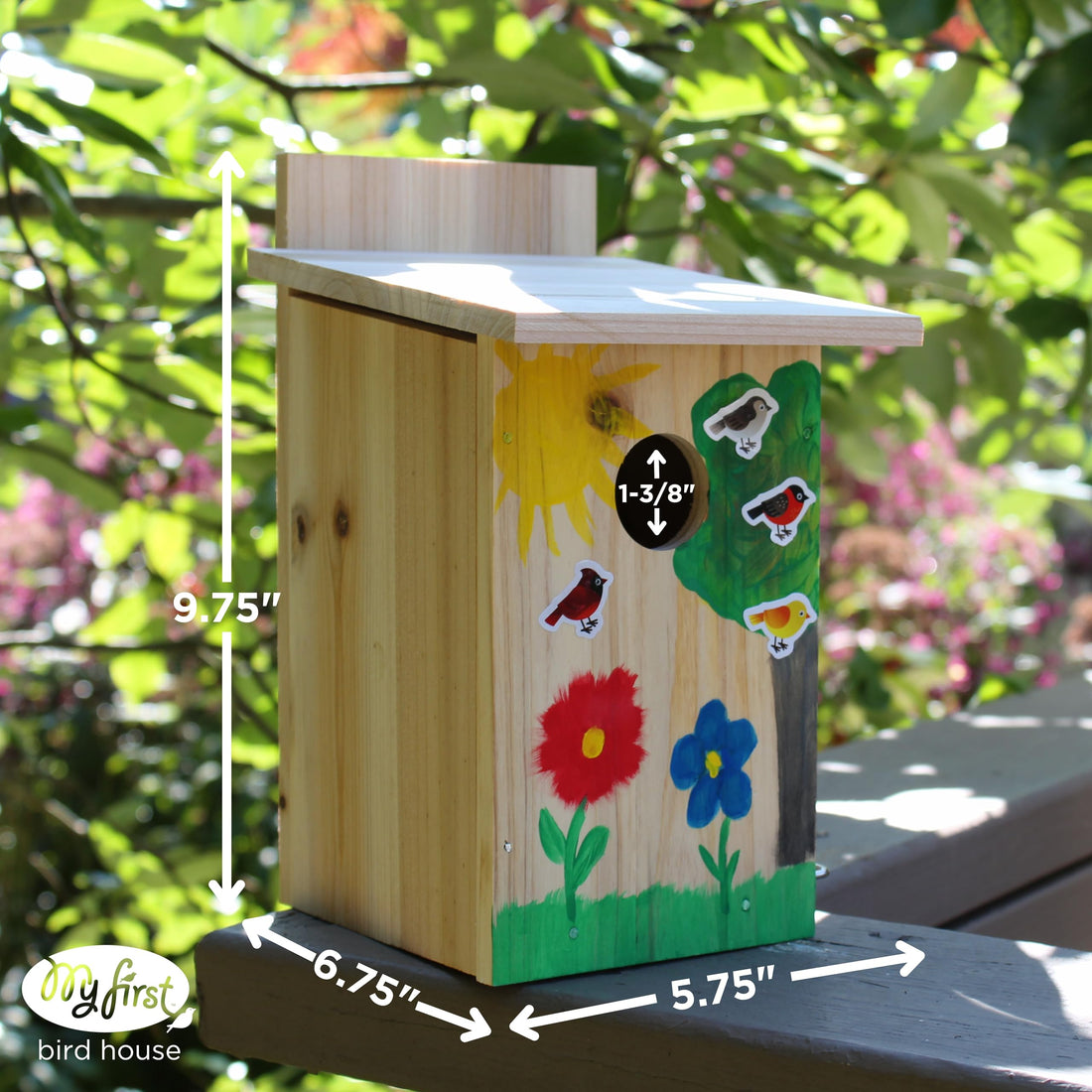 Nature's Way Bird Products DIY First Viewing Window Garden-Bird-House, Wood