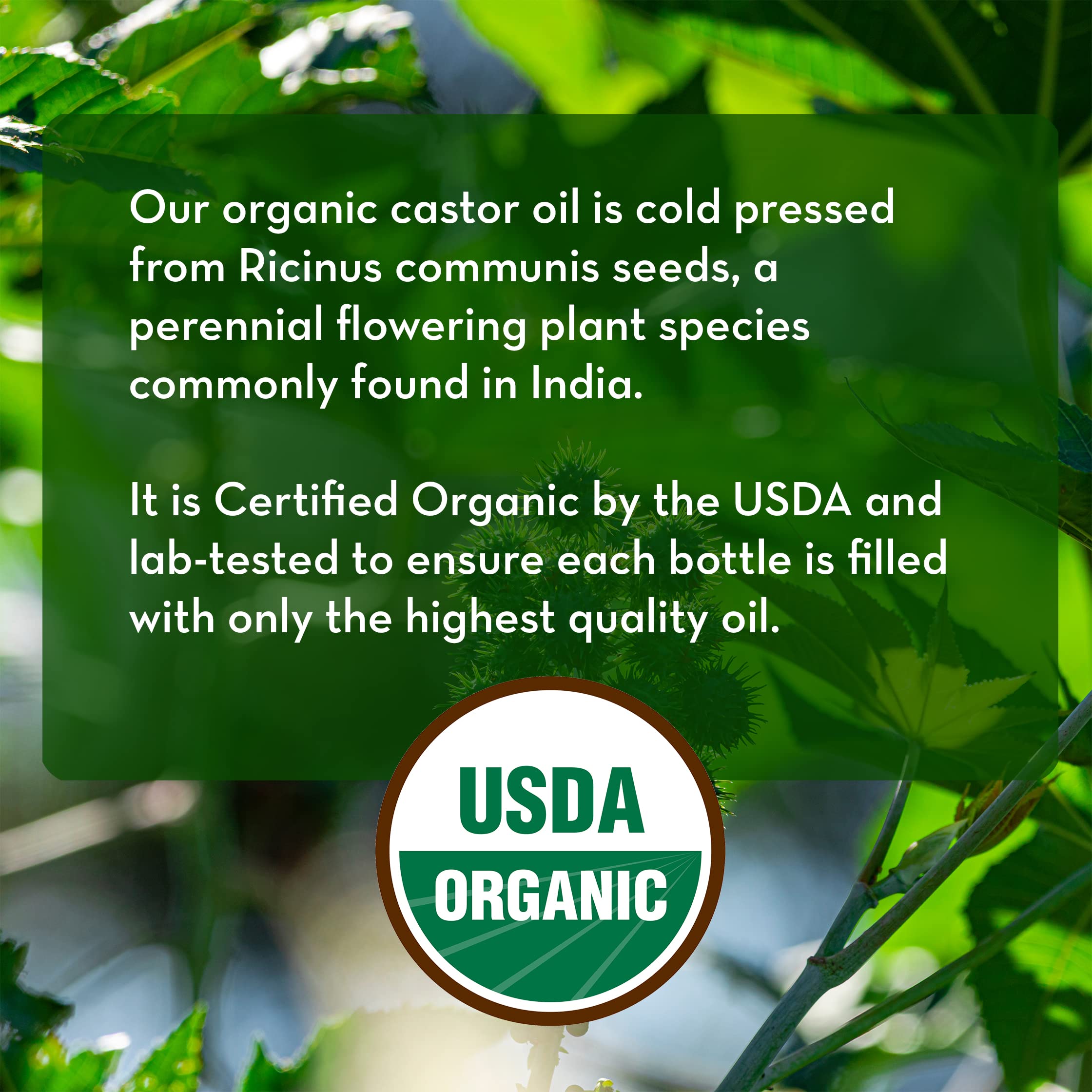 Pure Body Naturals Castor Oil for Face, Hair Growth, Skin, and Body - Cold Pressed Organic Castor Oil Aceite De Ricino Hexane Free Unrefined - 16 fl oz