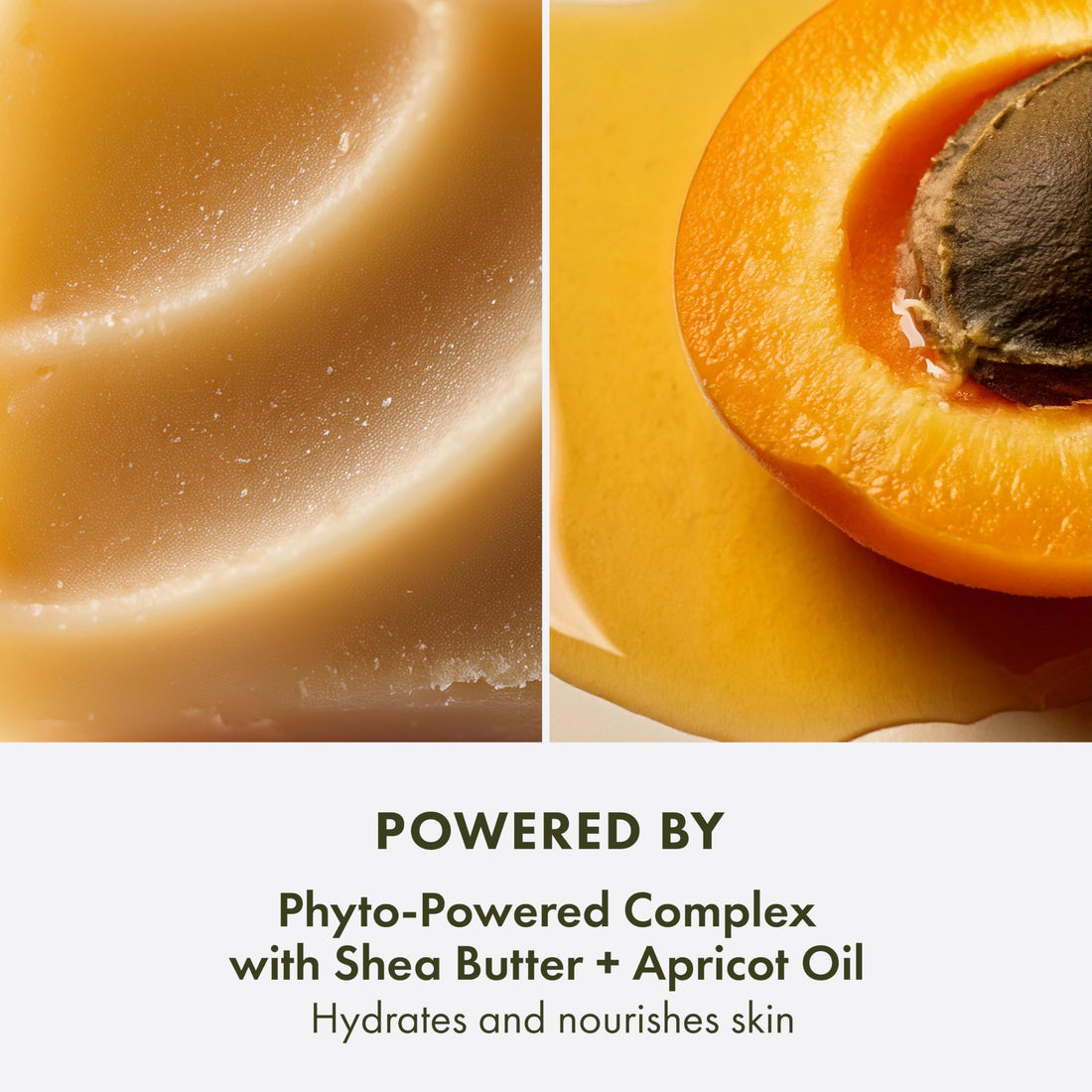 Origins Plantfusion Softening Hand & Body Lotion | Softens Dry Skin & Smooths Over Time | With Naturally-Derived Hyaluronic Acid & Salicylic Acid, 6.7 Fl Oz