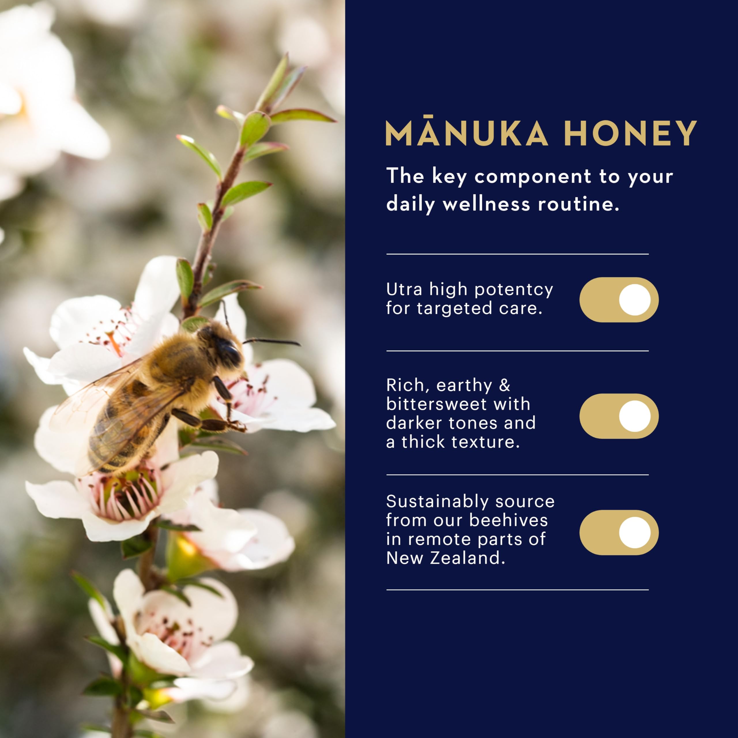 Manuka Health MGO 250 Honey Lip Balm, 0.16 Ounce