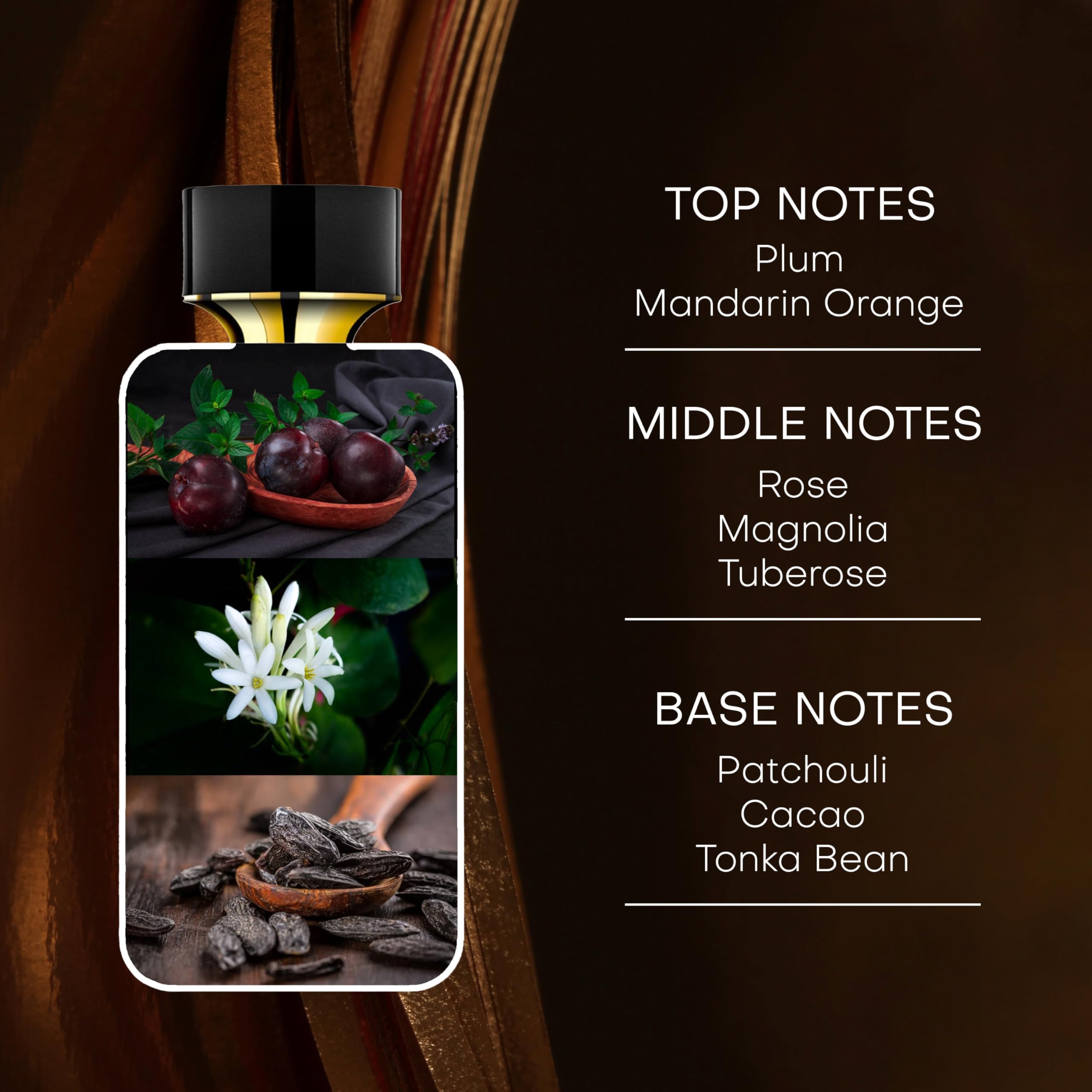 Rachel Zoe Warrior EDP Perfume for Women – Long-Lasting Luxury perfume with Fruity scents with notes of Tuberose, Musk & Patchouli – Gift for women – 30 ml