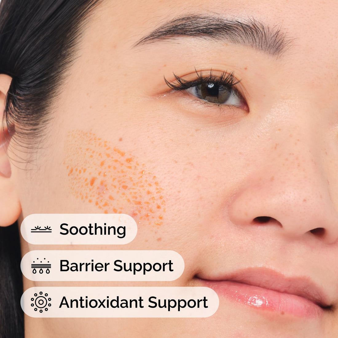 The Ordinary Pycnogenol 5%, Antioxidant-Rich Plant Extract for Environmental Protection, 0.5 Fl Oz