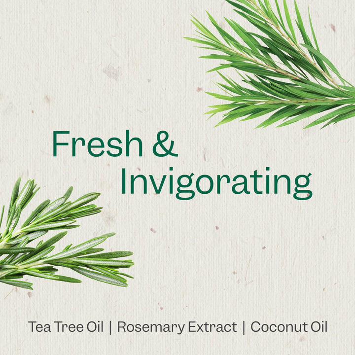 Renpure Plant Based Tea Tree and Rosemary Refresh and Rebalance Shampoo - Soothes Dry Scalp - Delivers Moisture and Shine - Rids Hair of Grime - Dye Free - Recyclable, Pump Bottle Design - 24 fl oz