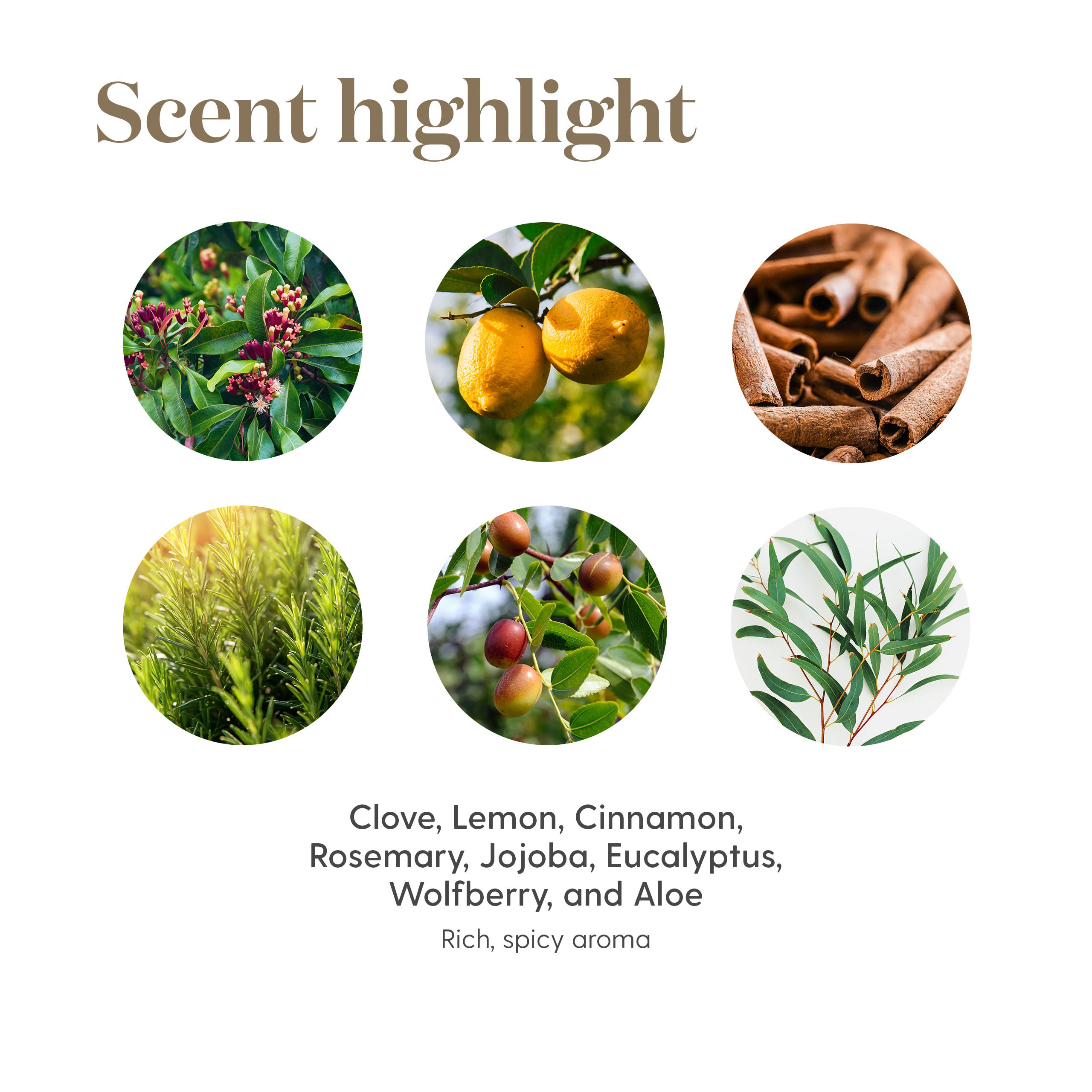 Thieves Essential Oil Cleansing Soap by Young Living Essential Oils - 3.5oz.