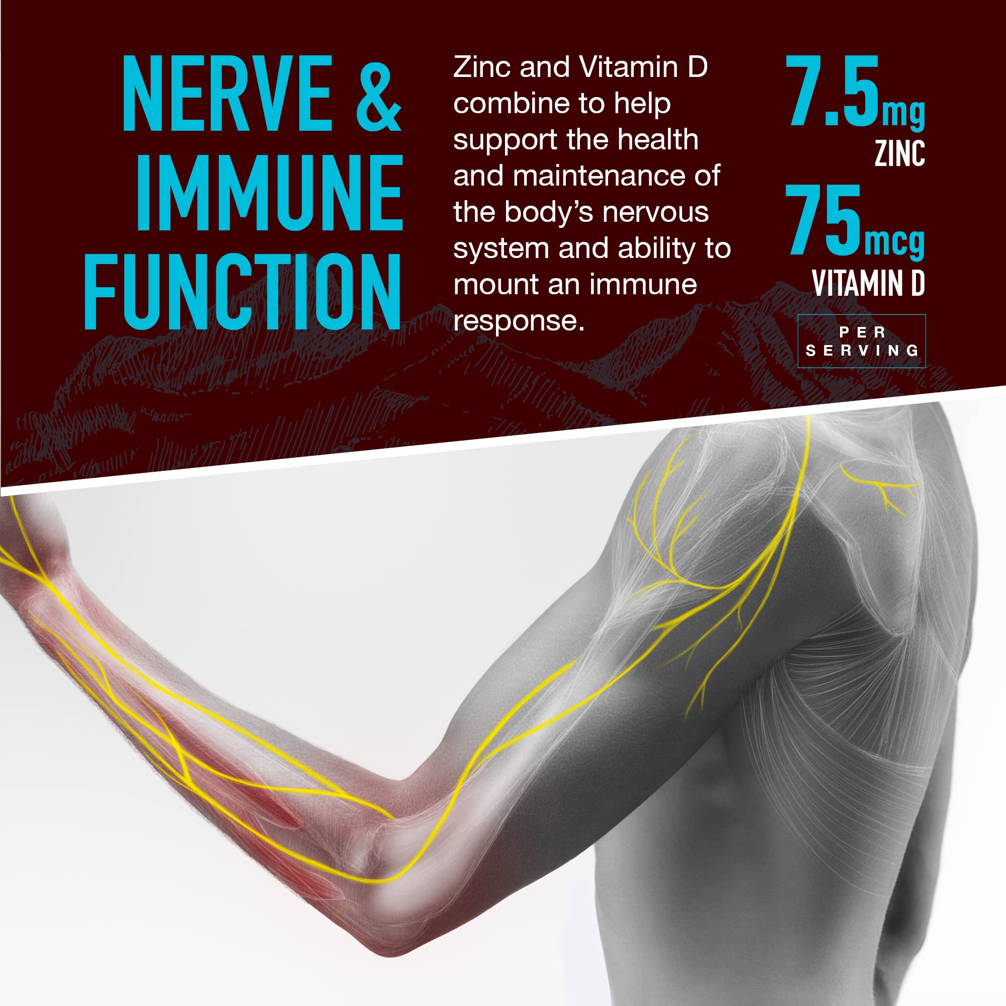 YUM-V'S Strong Earth Calcium, Magnesium, Zinc and Vitamin D Gummies (90 Count) Calcium Gummies with Vitamin D3 + Zinc & Magnesium Supplements, Delicious Bone Health Gummy Supplements