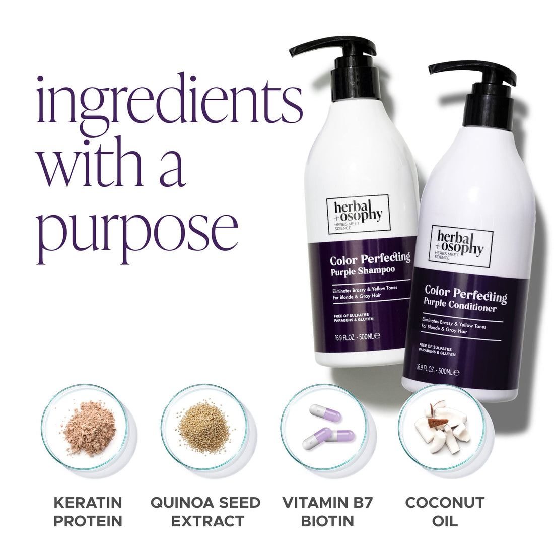 Herbalosophy Purple Shampoo & Conditioner Set for Blonde Gray Hair, Eliminates Brassy and Yellow Tones, Infused with Cocos Nucifera Oil, Free of Sulfate, Parabens and Gluten, 2 x 16.9 Fl Oz