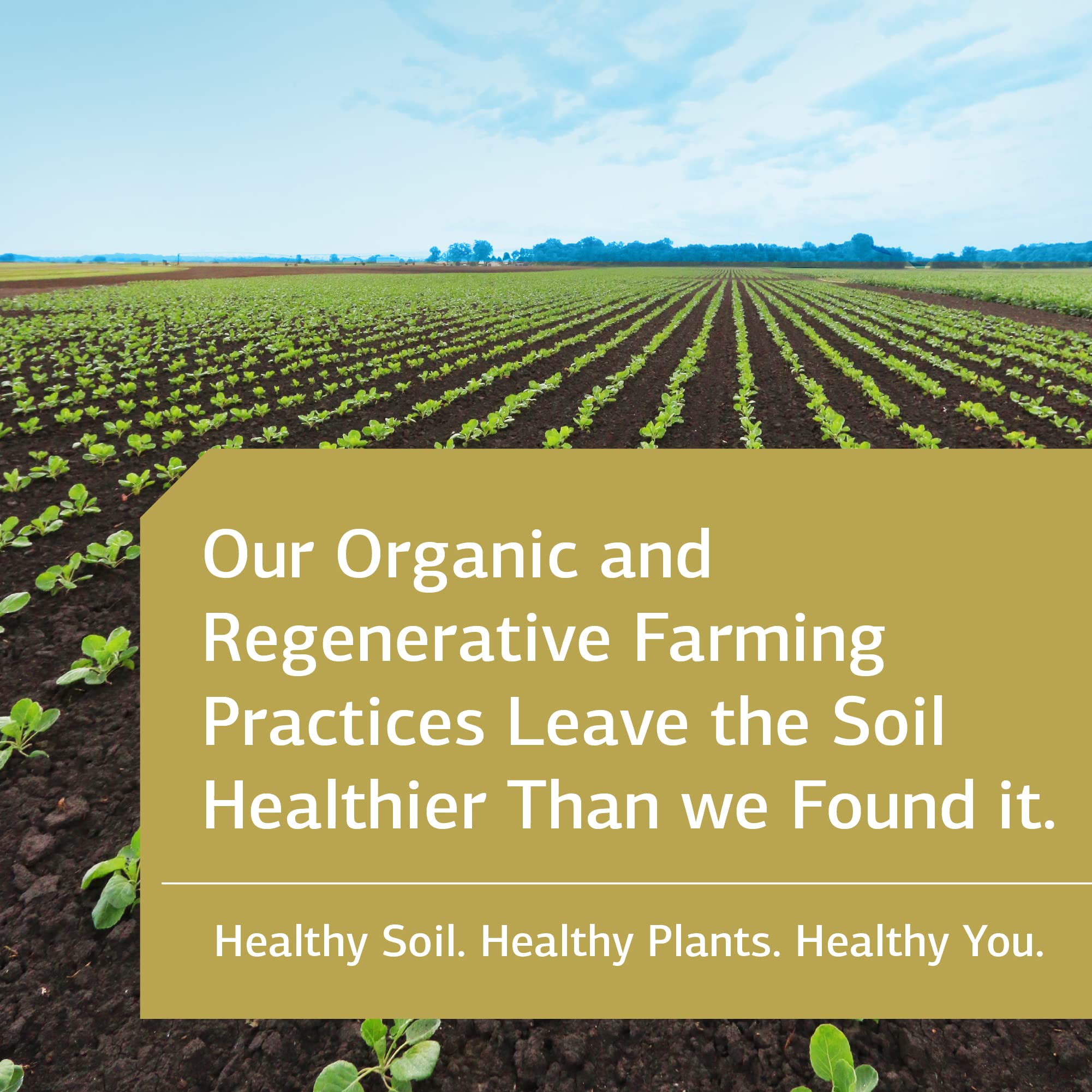 Standard Process Inc. E-Z Mg - Plant-Based, Multiform, Organic, Supports Patients with Inadequate Dietary Magnesium Intake - 180 Tablets